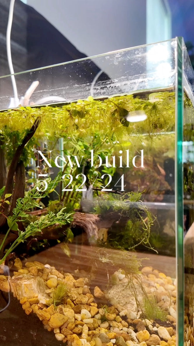 Nano Aquarium: The Edge