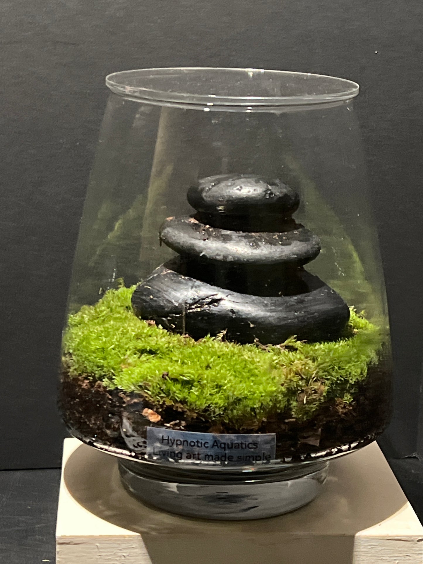 Terrarium 236