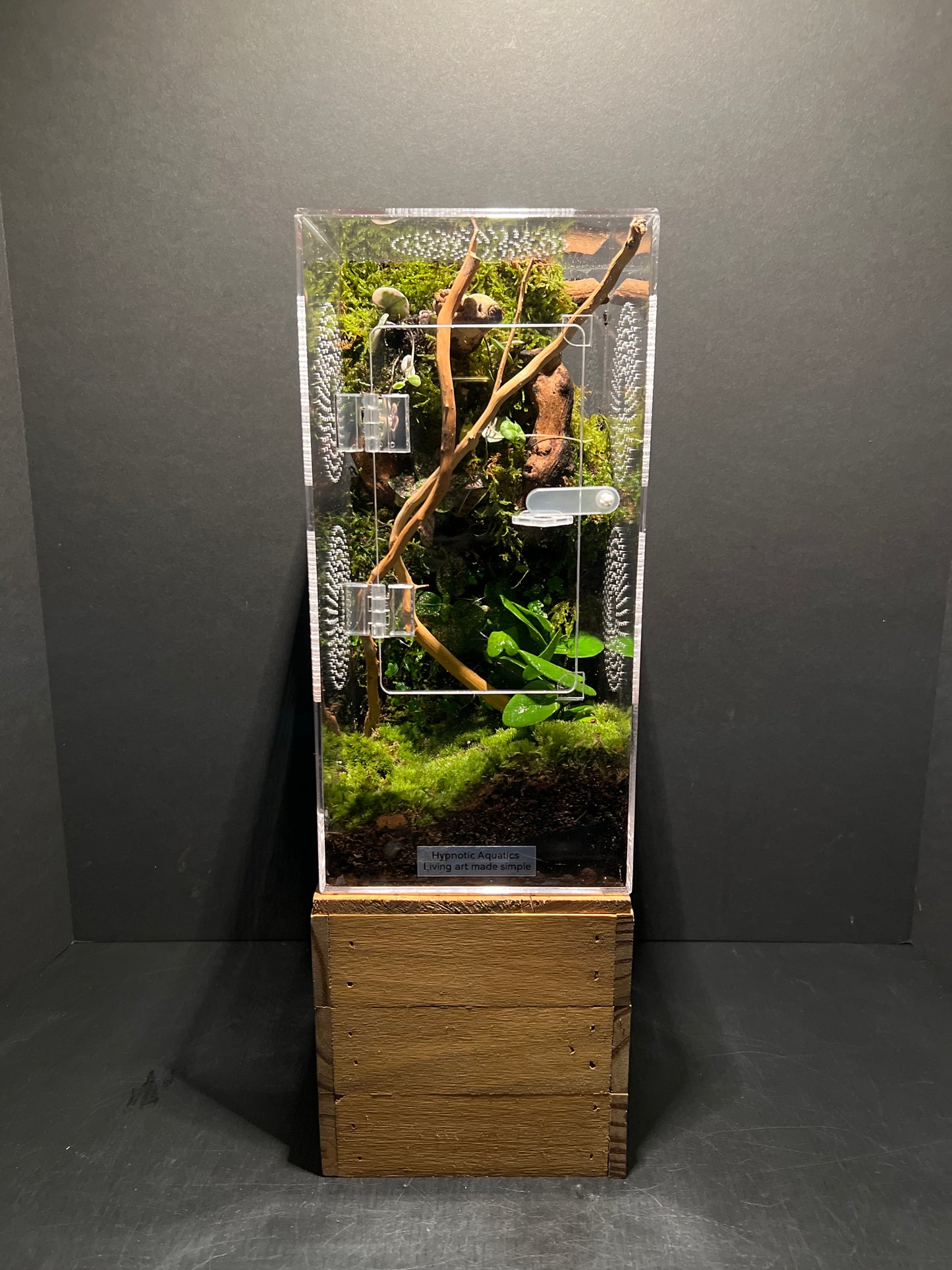 Terrarium 209 Habitat