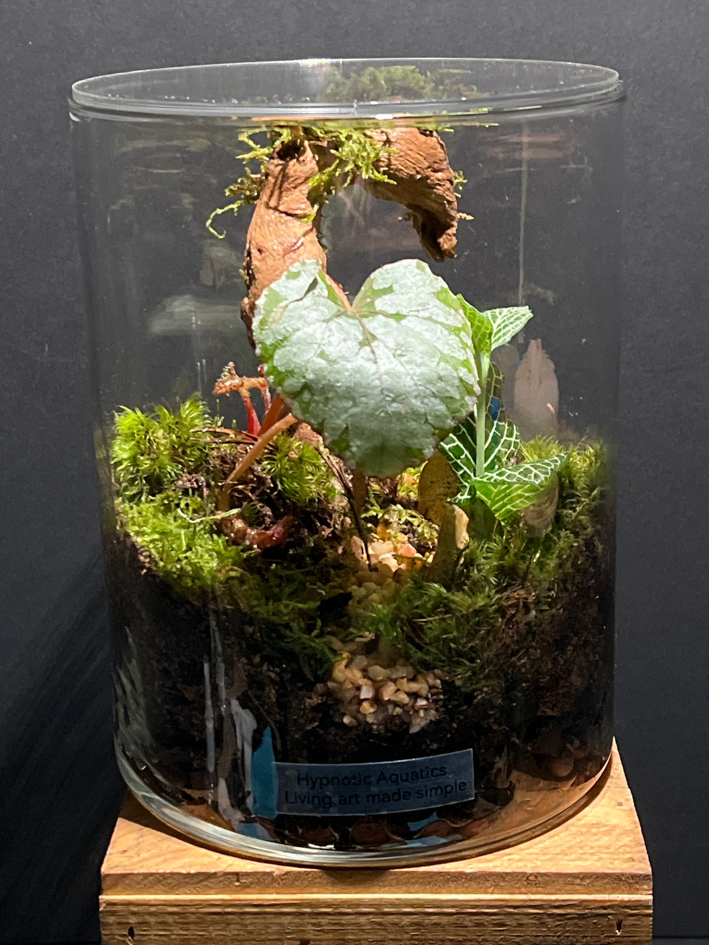 Terrarium 180