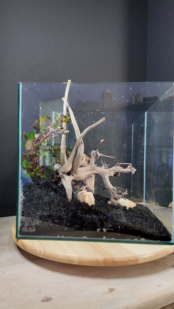 Nano Aquarium: The Edge