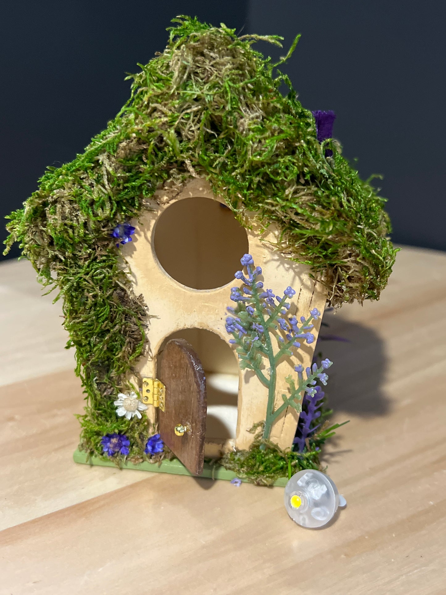 Fairy Garden House: Quiet Space