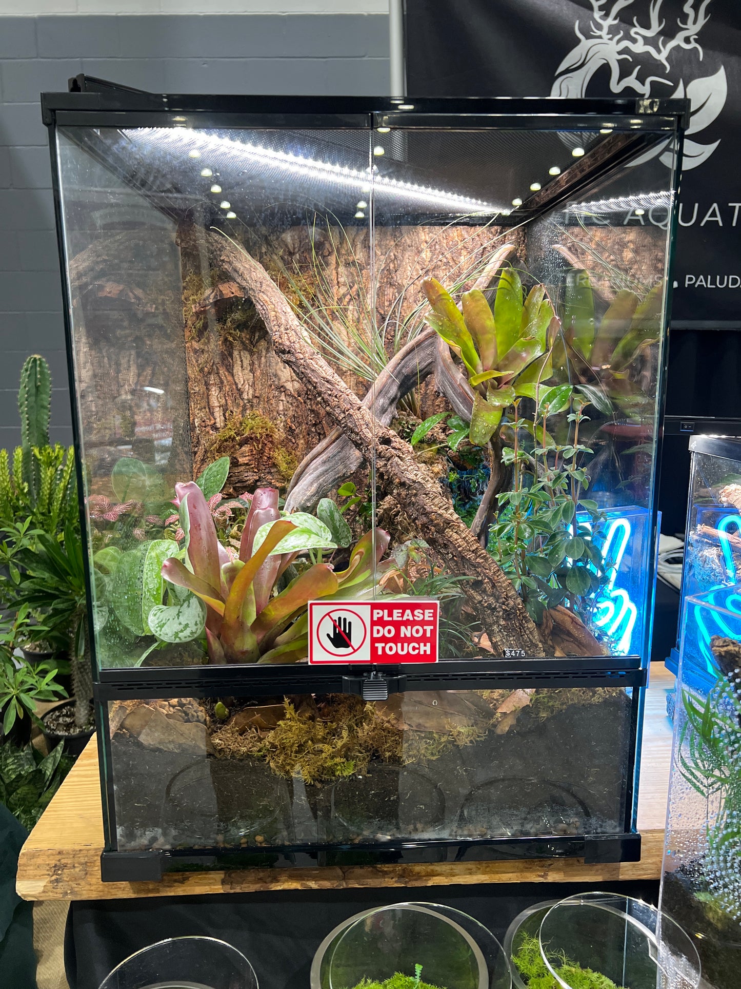 Terrarium 18x18x24 Tropical