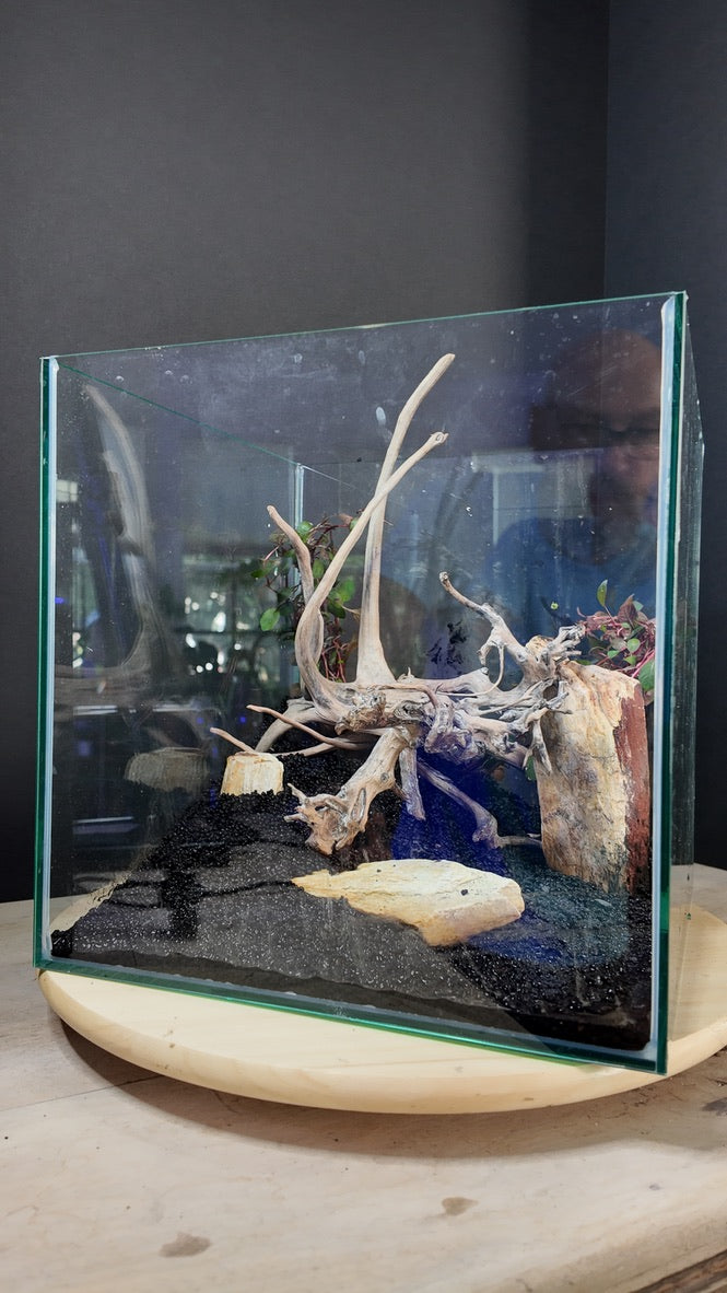 Nano Aquarium: The Edge