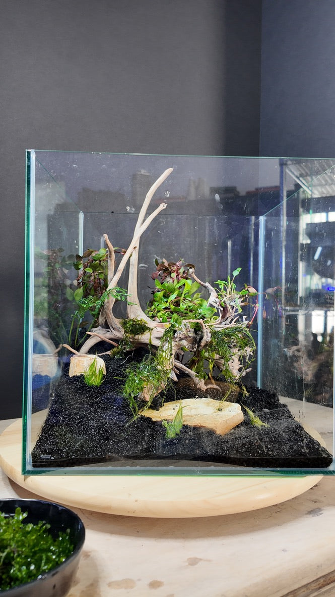 Nano Aquarium: The Edge