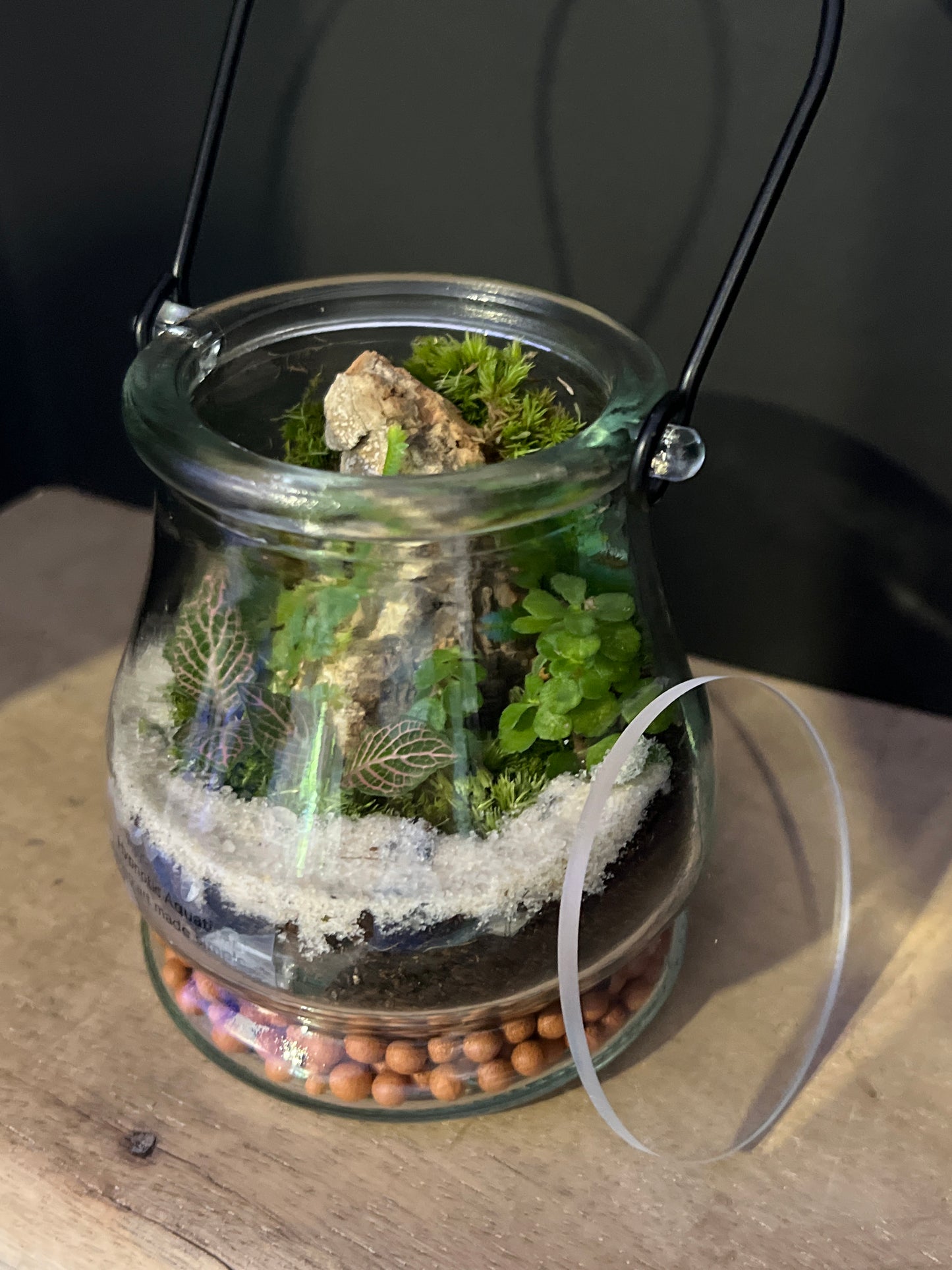 Terrarium 476