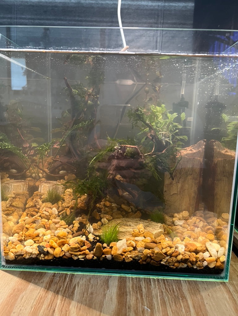 Nano Aquarium: The Edge