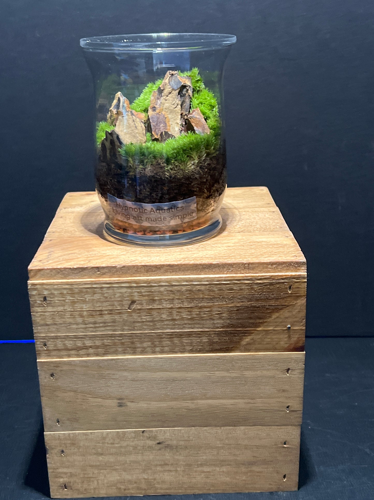 Terrarium #115