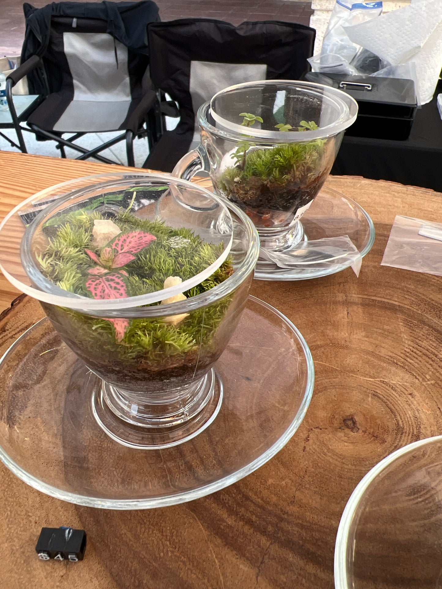 Terrarium 838 (seti)