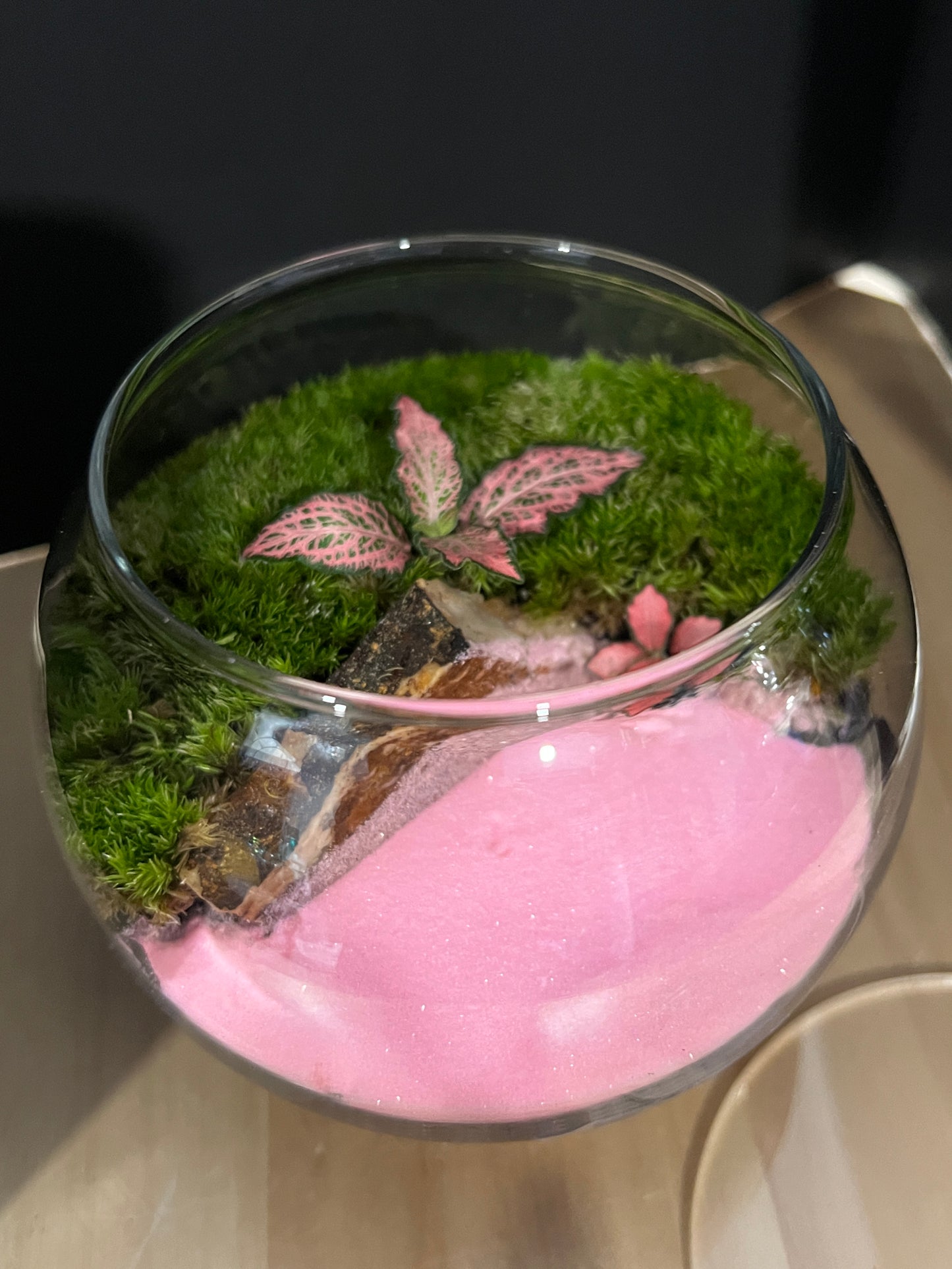 Terrarium 866