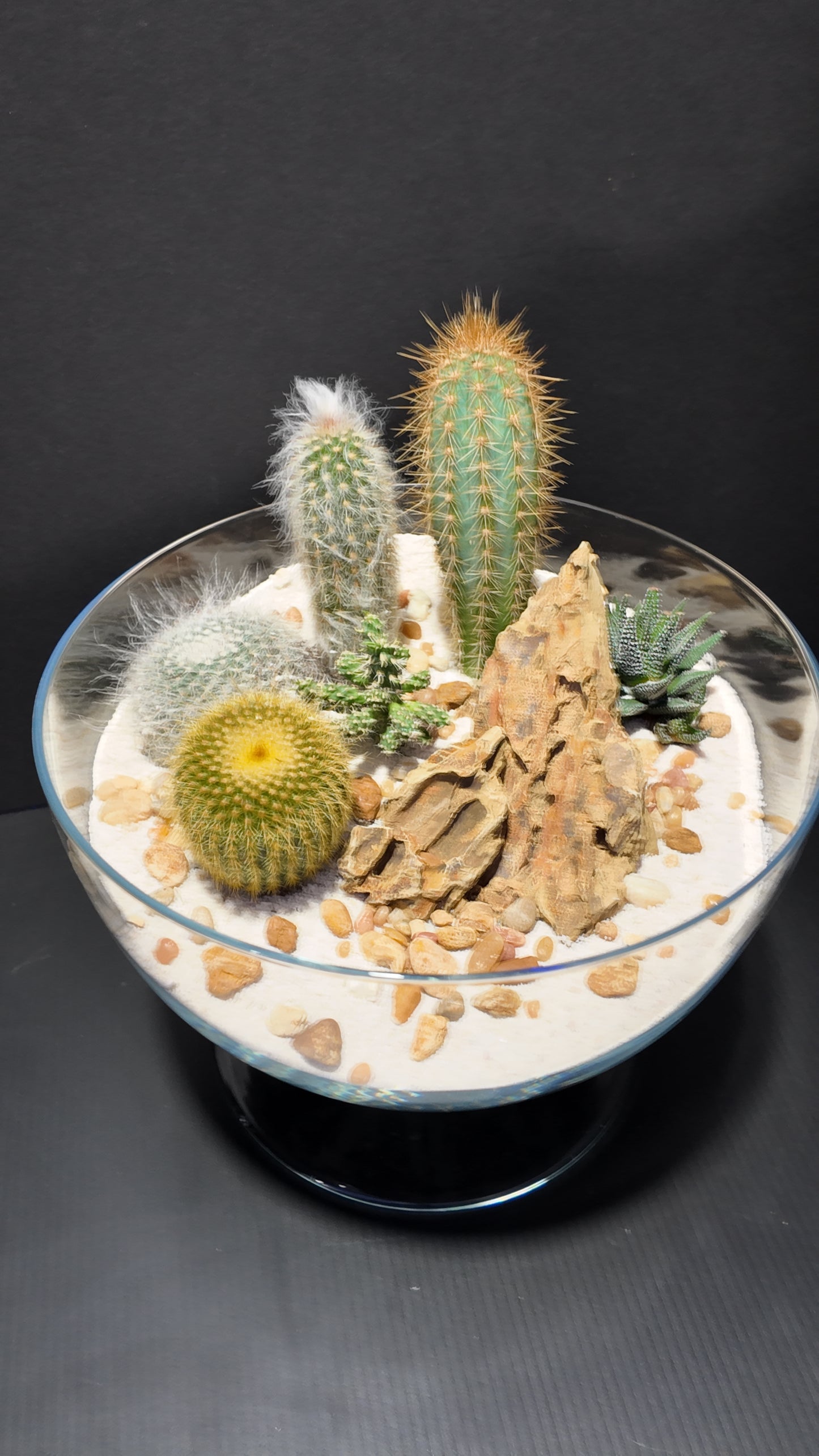 Terrarium #32