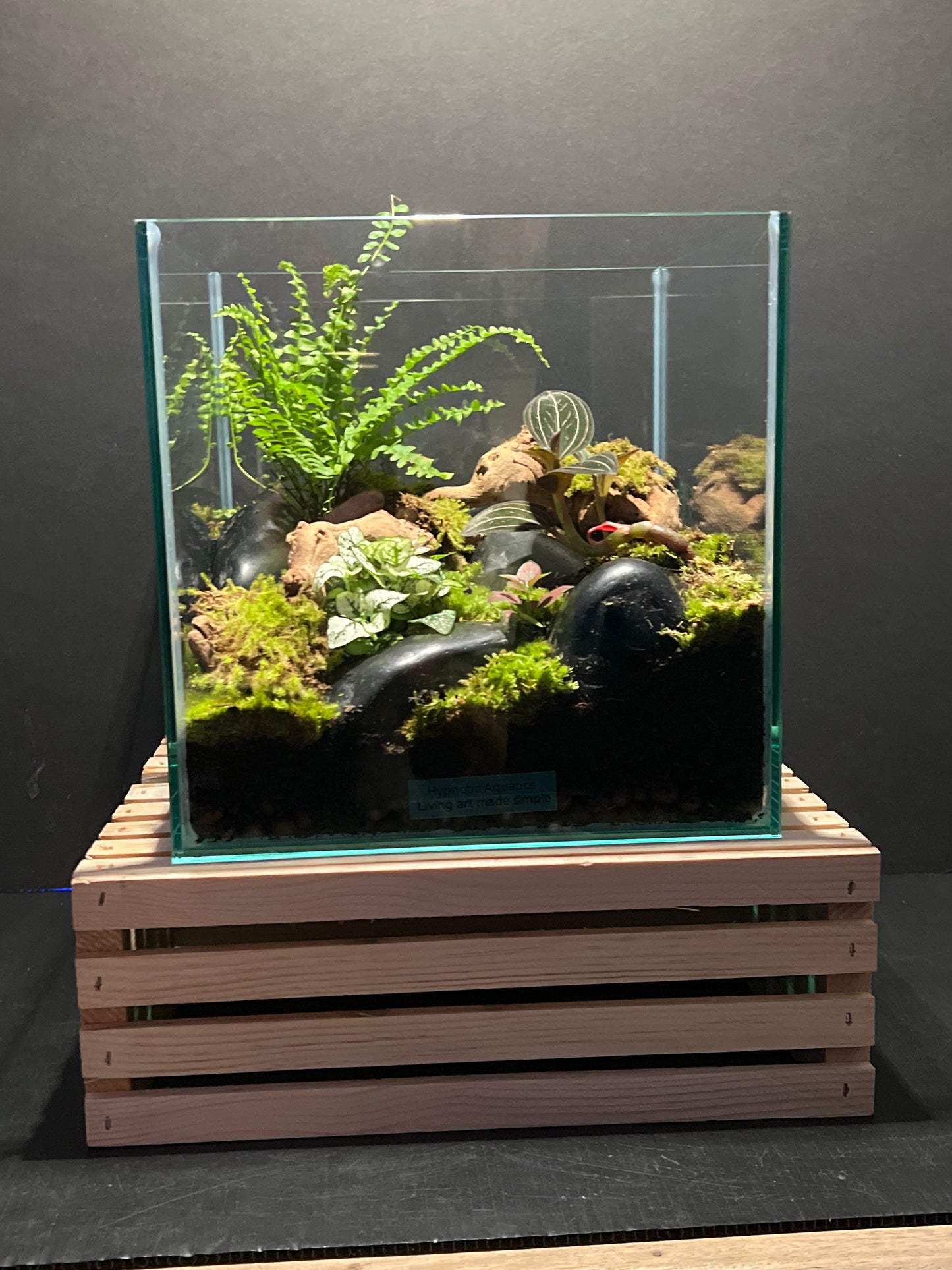 Terrarium # 28