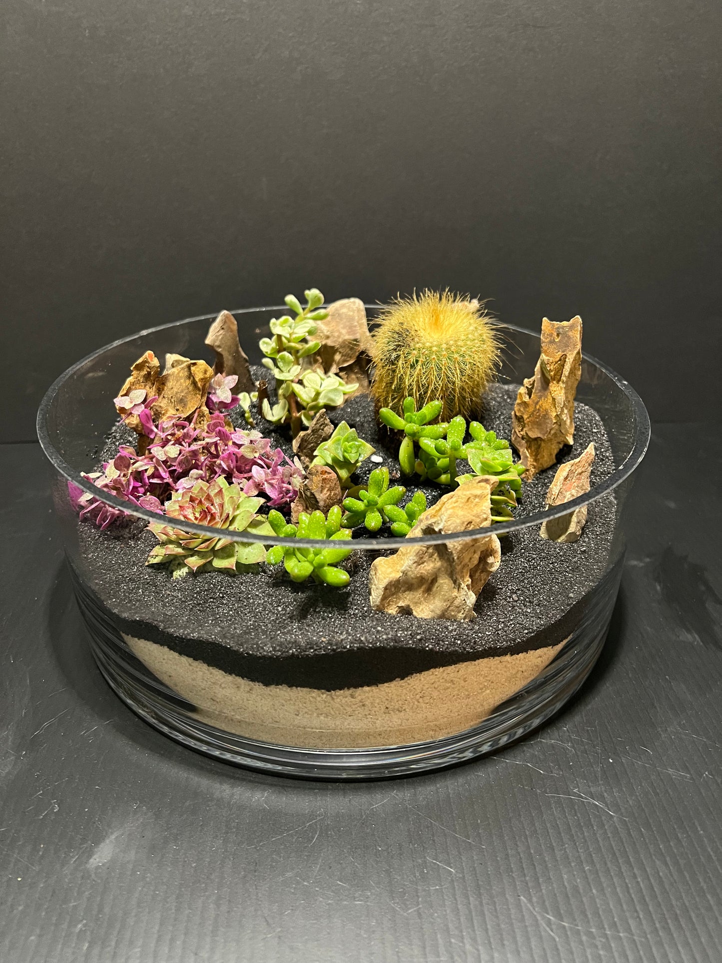 Terrarium #31