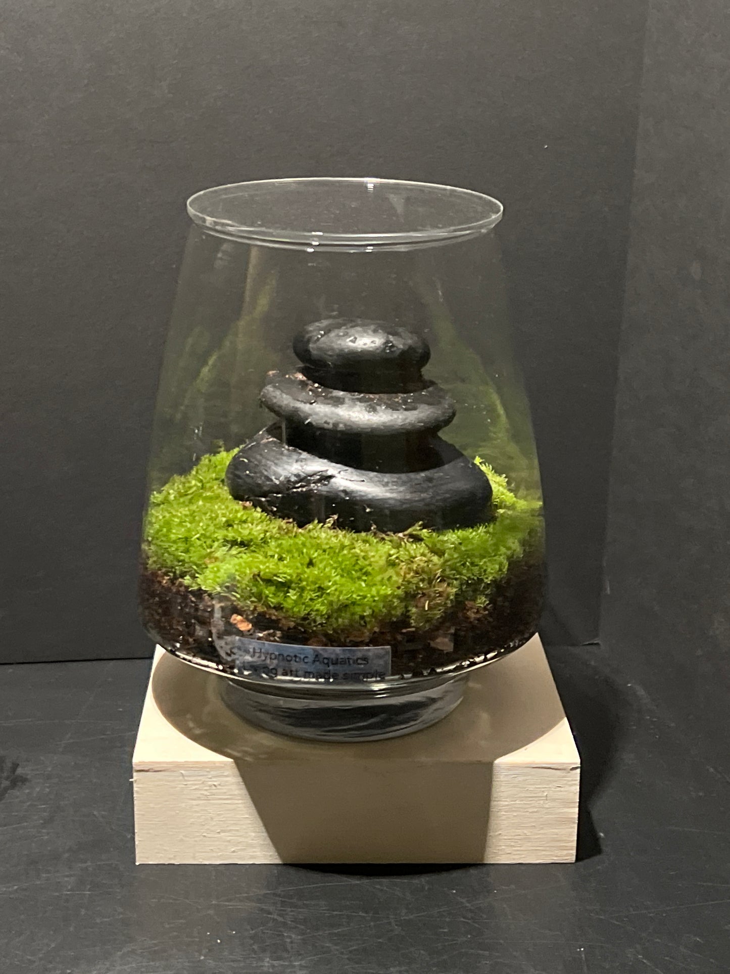 Terrarium 236