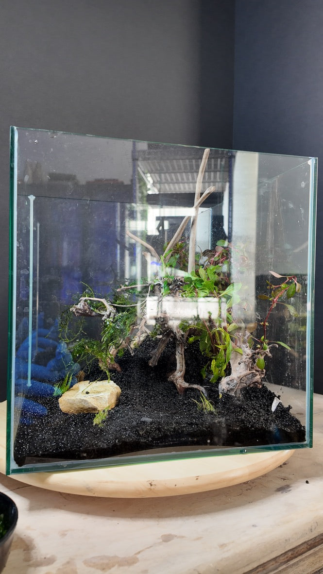 Nano Aquarium: The Edge