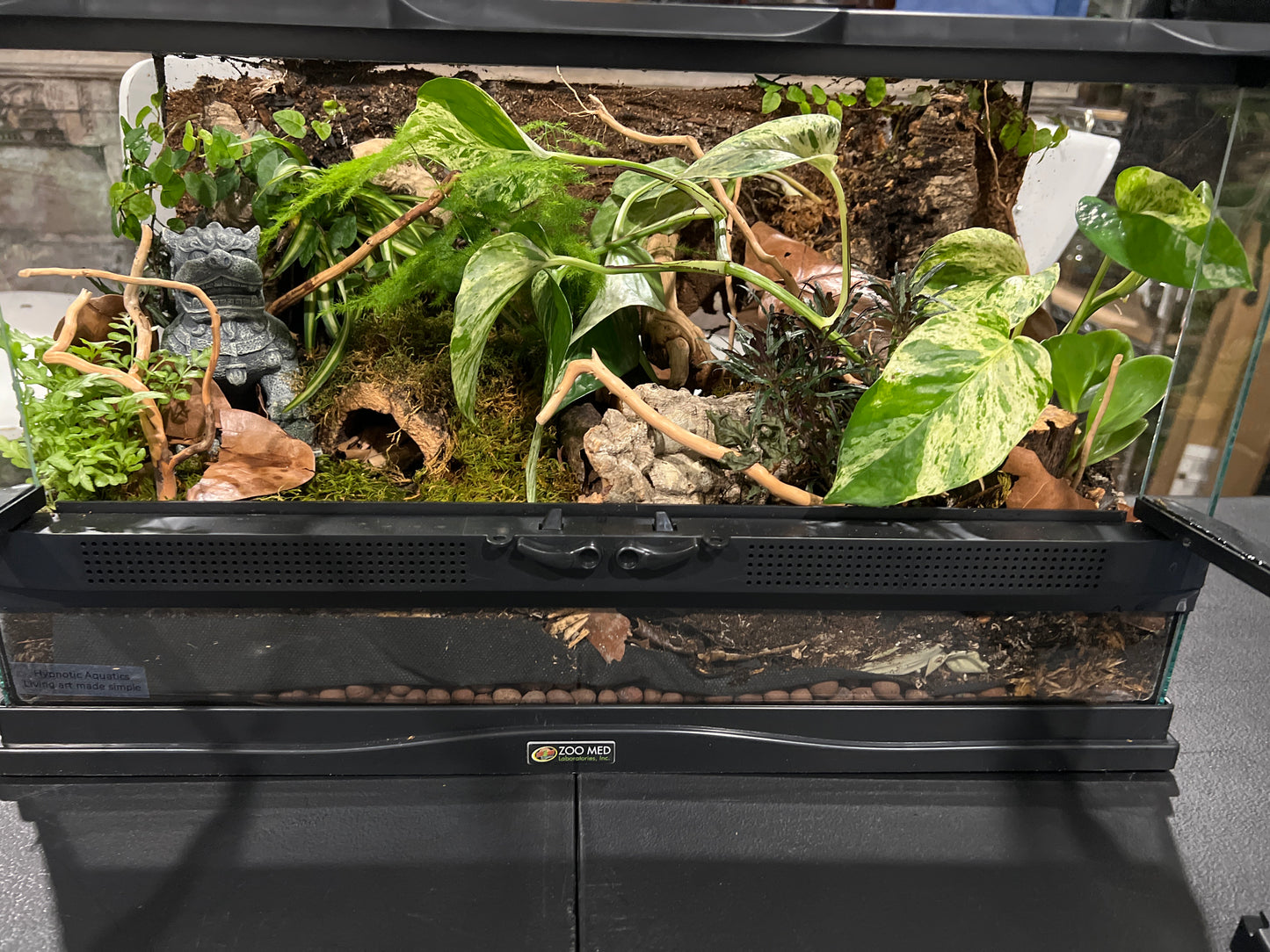 Terrarium 409 Habitat