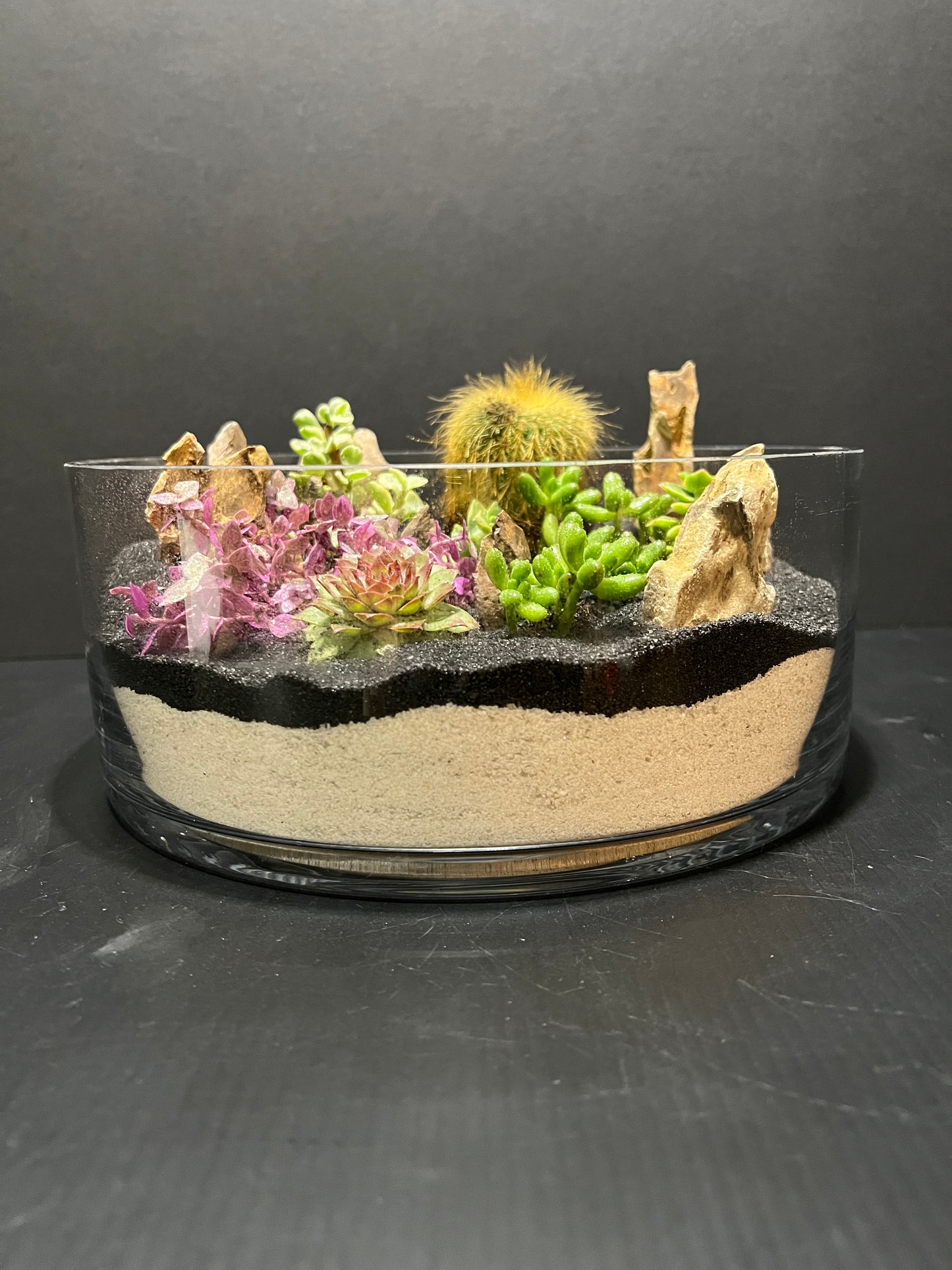 Terrarium #31