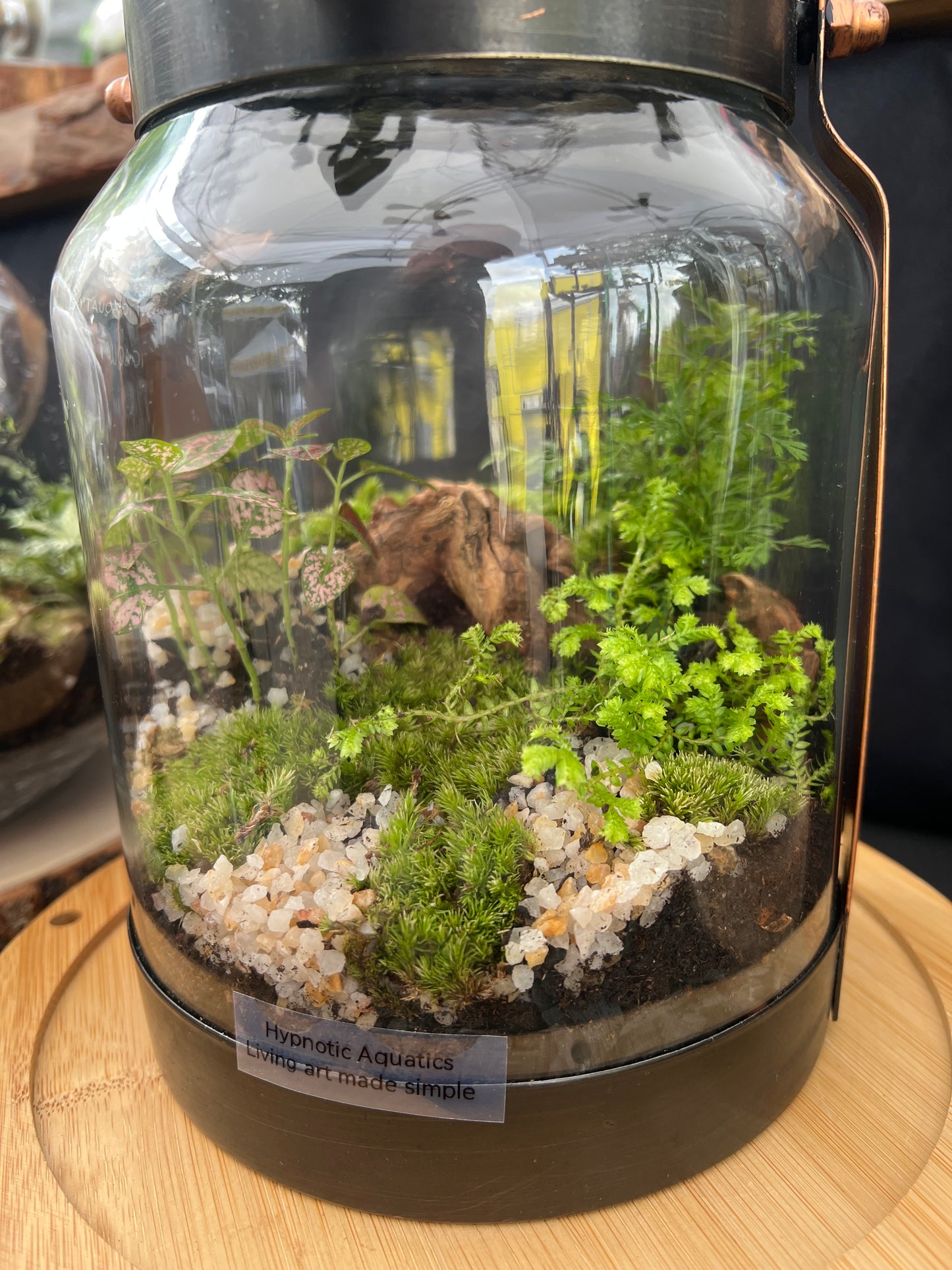 Terrarium 860