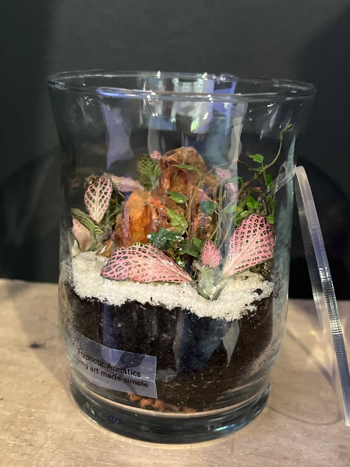 Terrarium 473