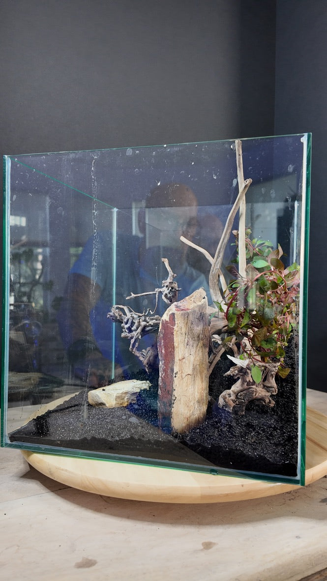 Nano Aquarium: The Edge