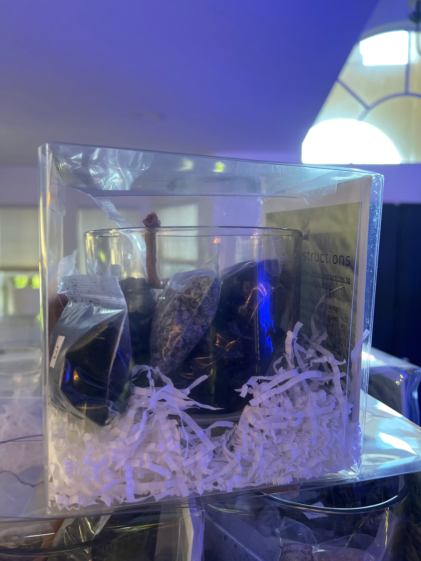 DIY Kit 3 Medium Vase