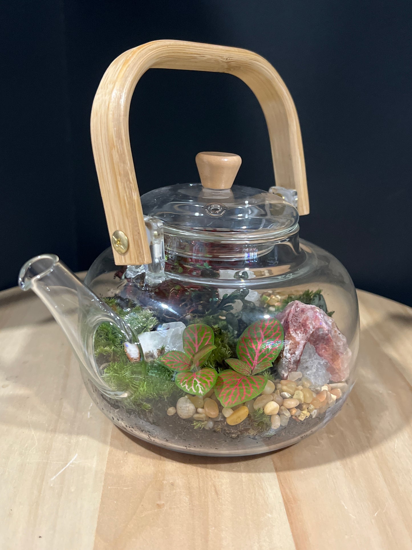 Terrarium 752