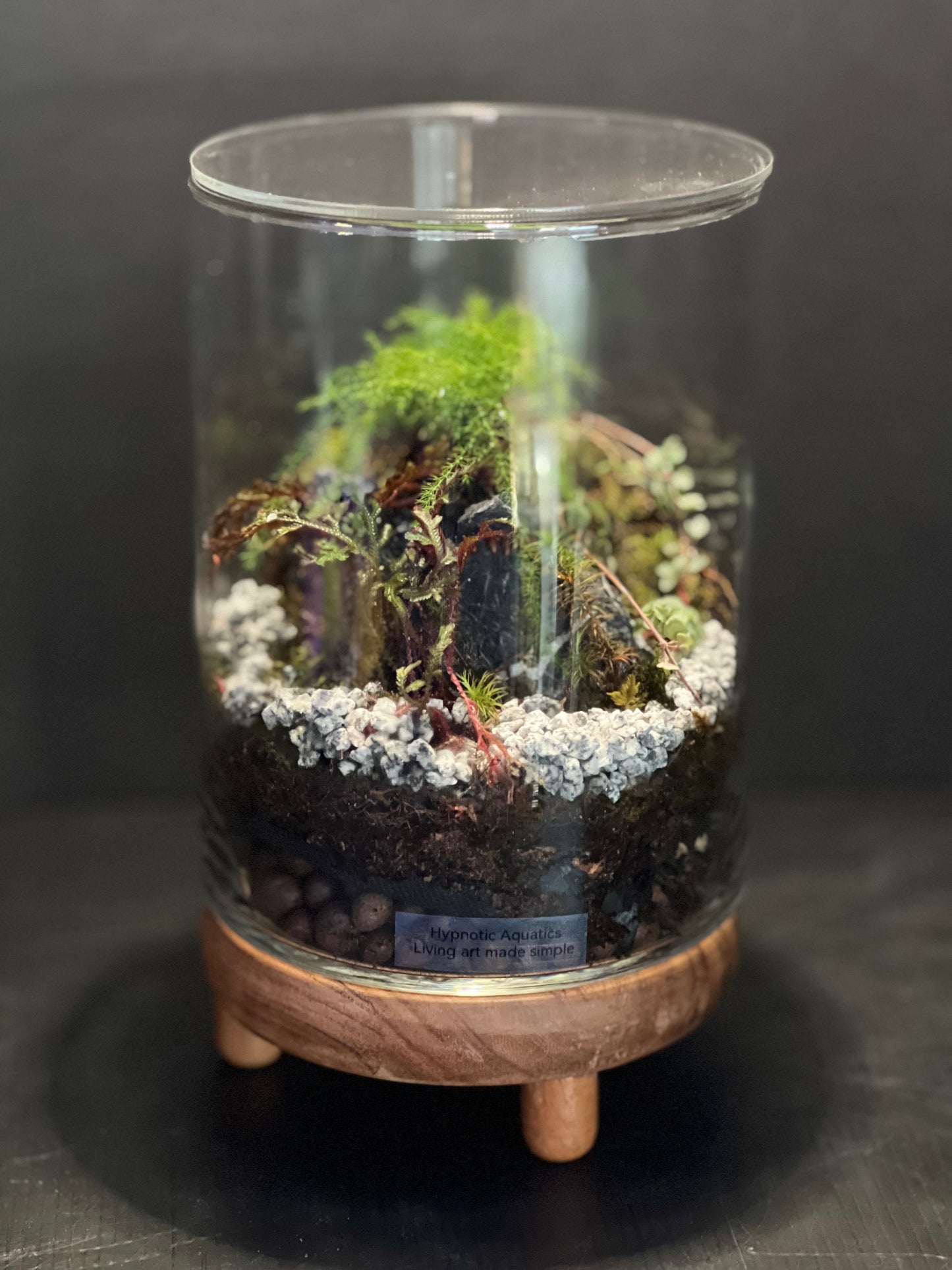 Terrarium 325