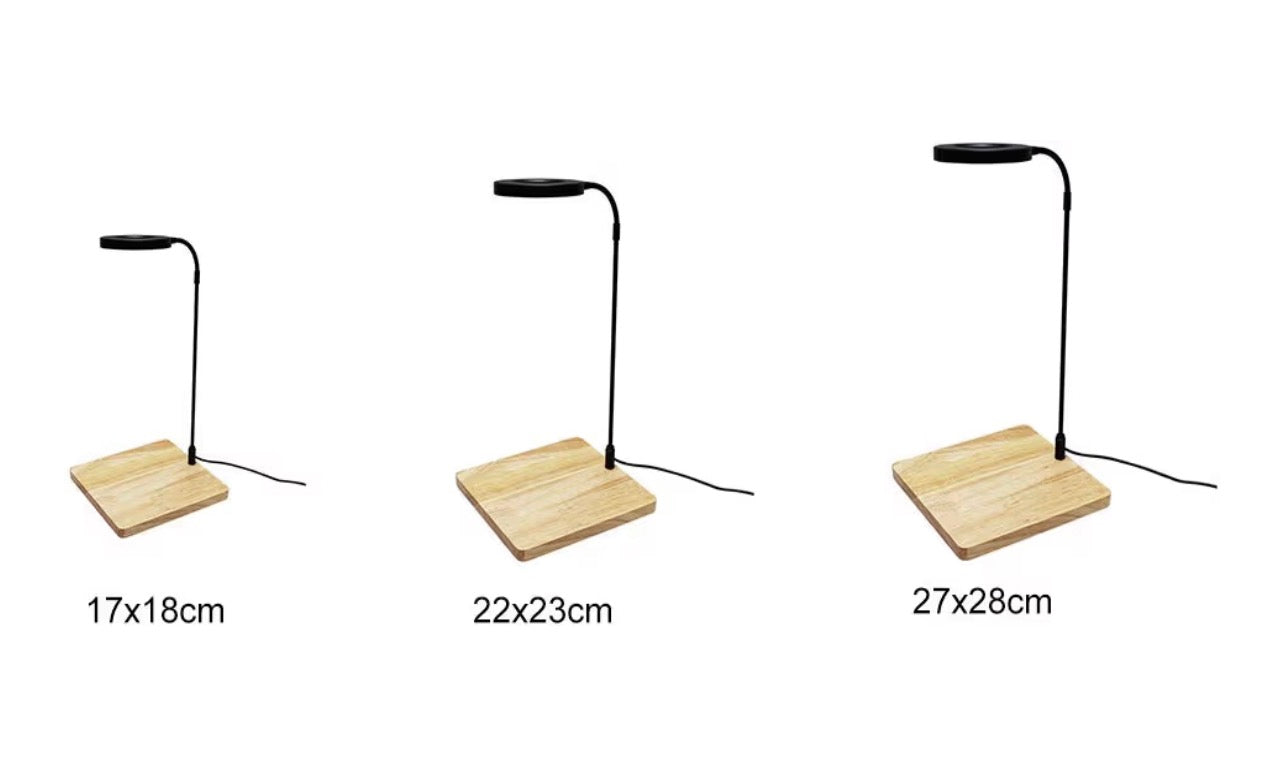 Terrarium Light with Bamboo Base