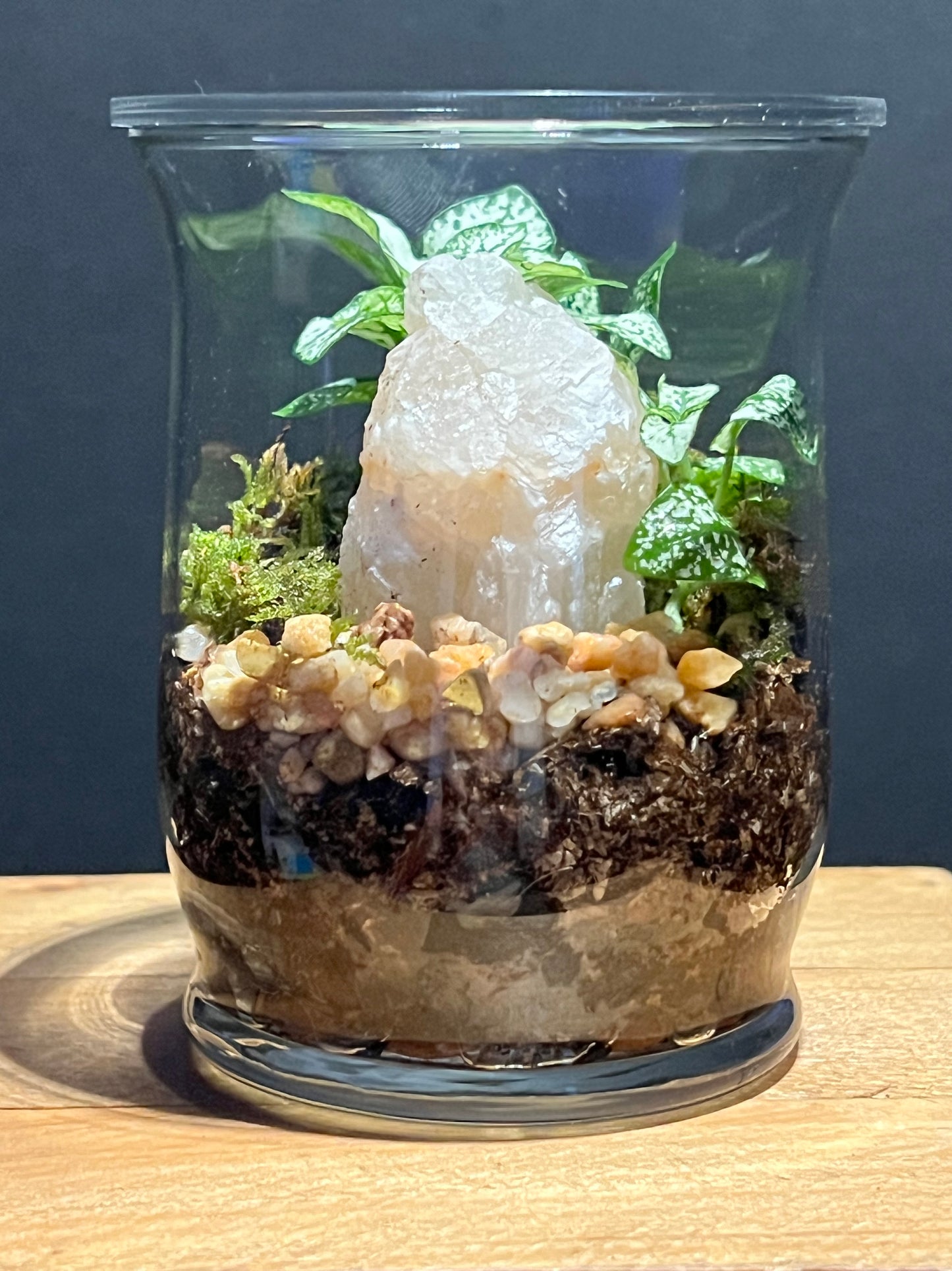 Terrarium #172