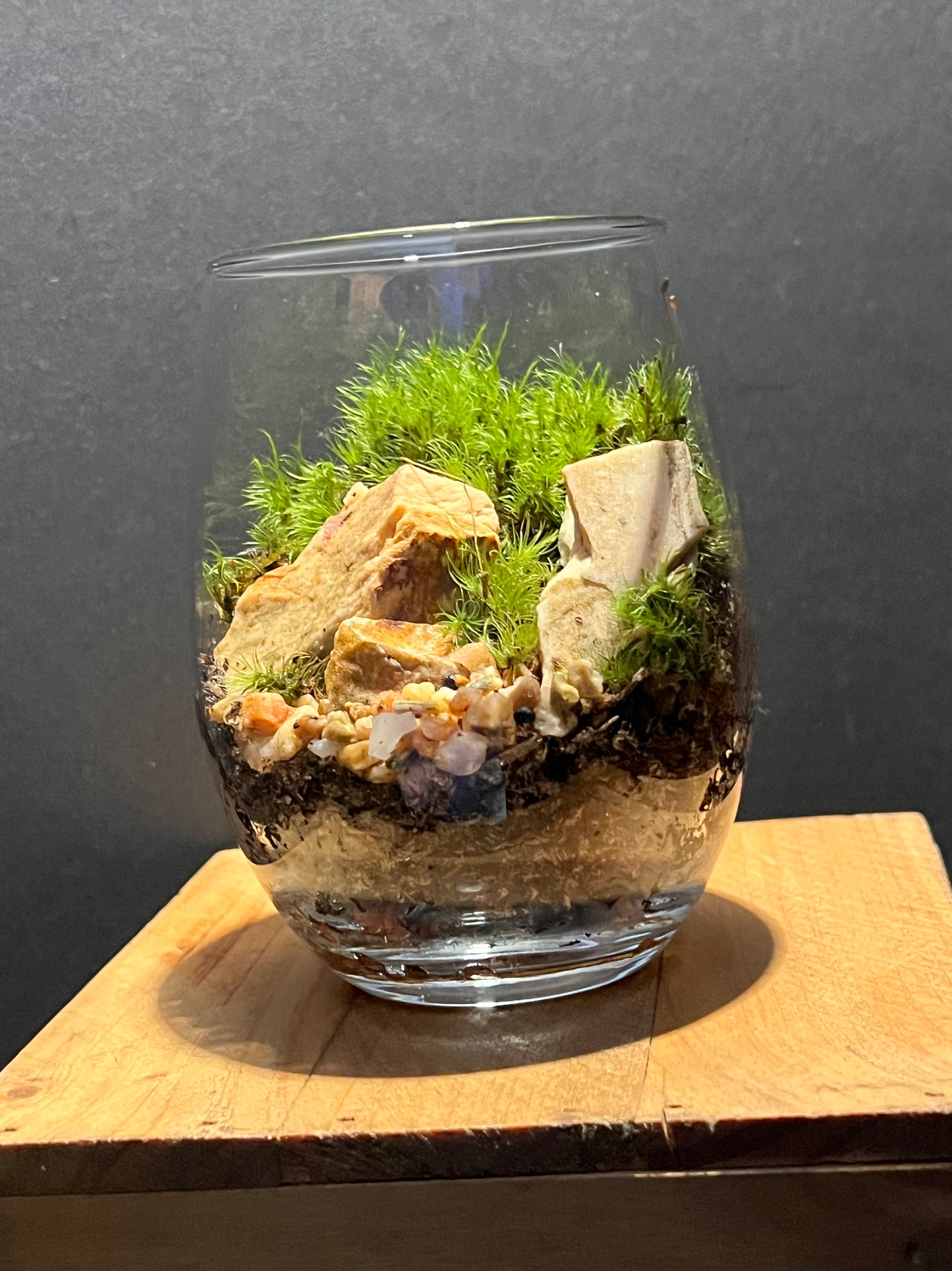 Terrarium 192