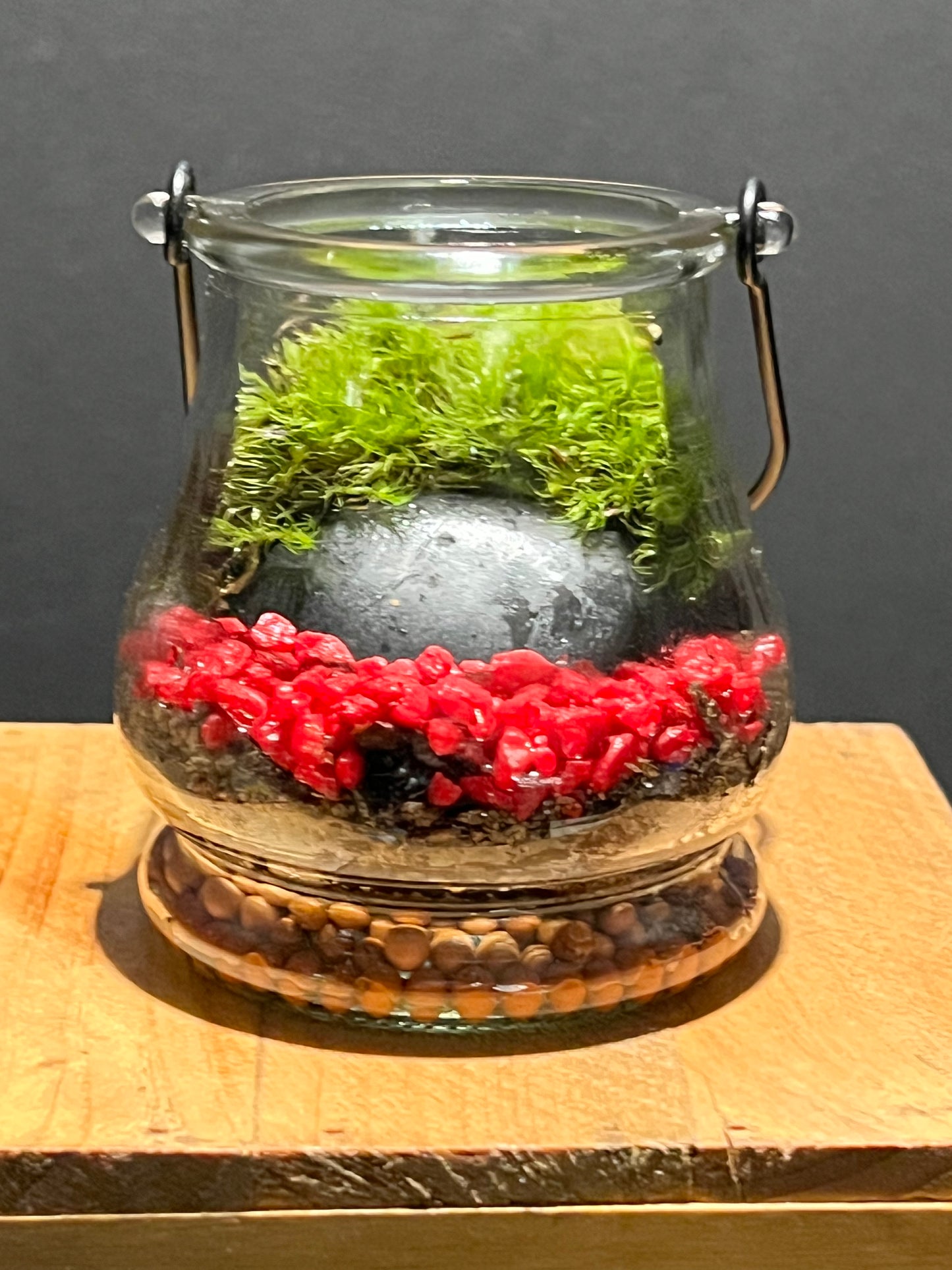 Terrarium 213