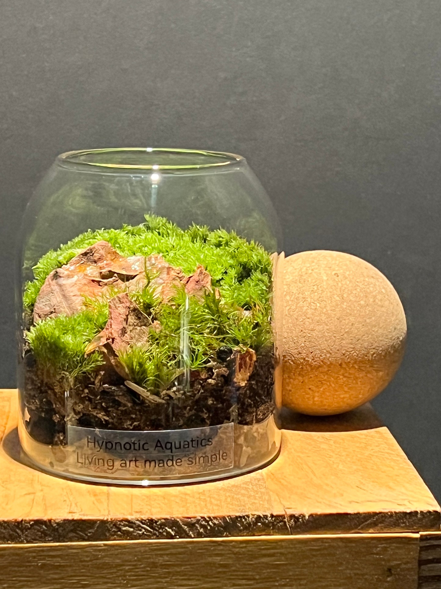 Terrarium 214