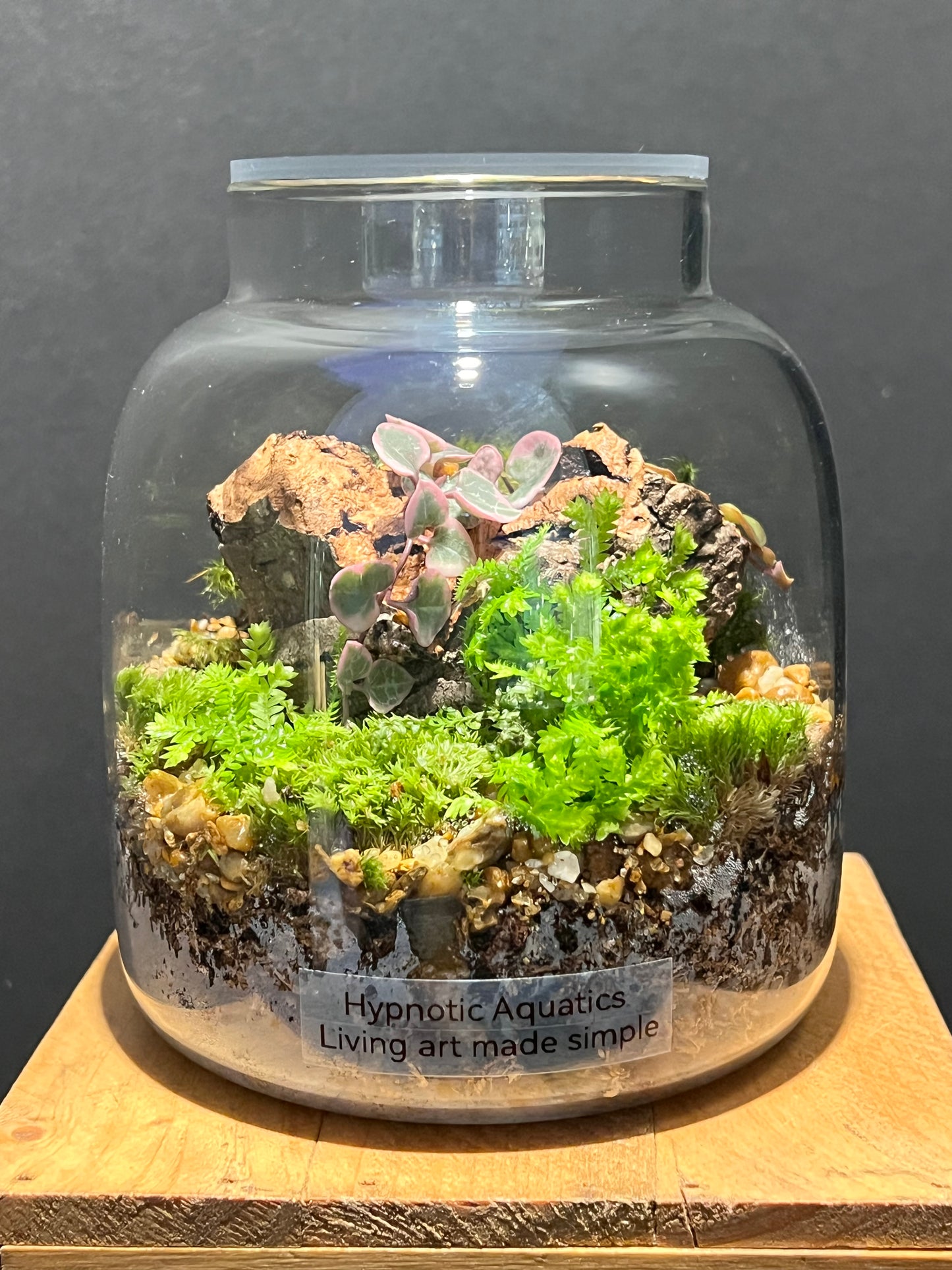 Terrarium 216