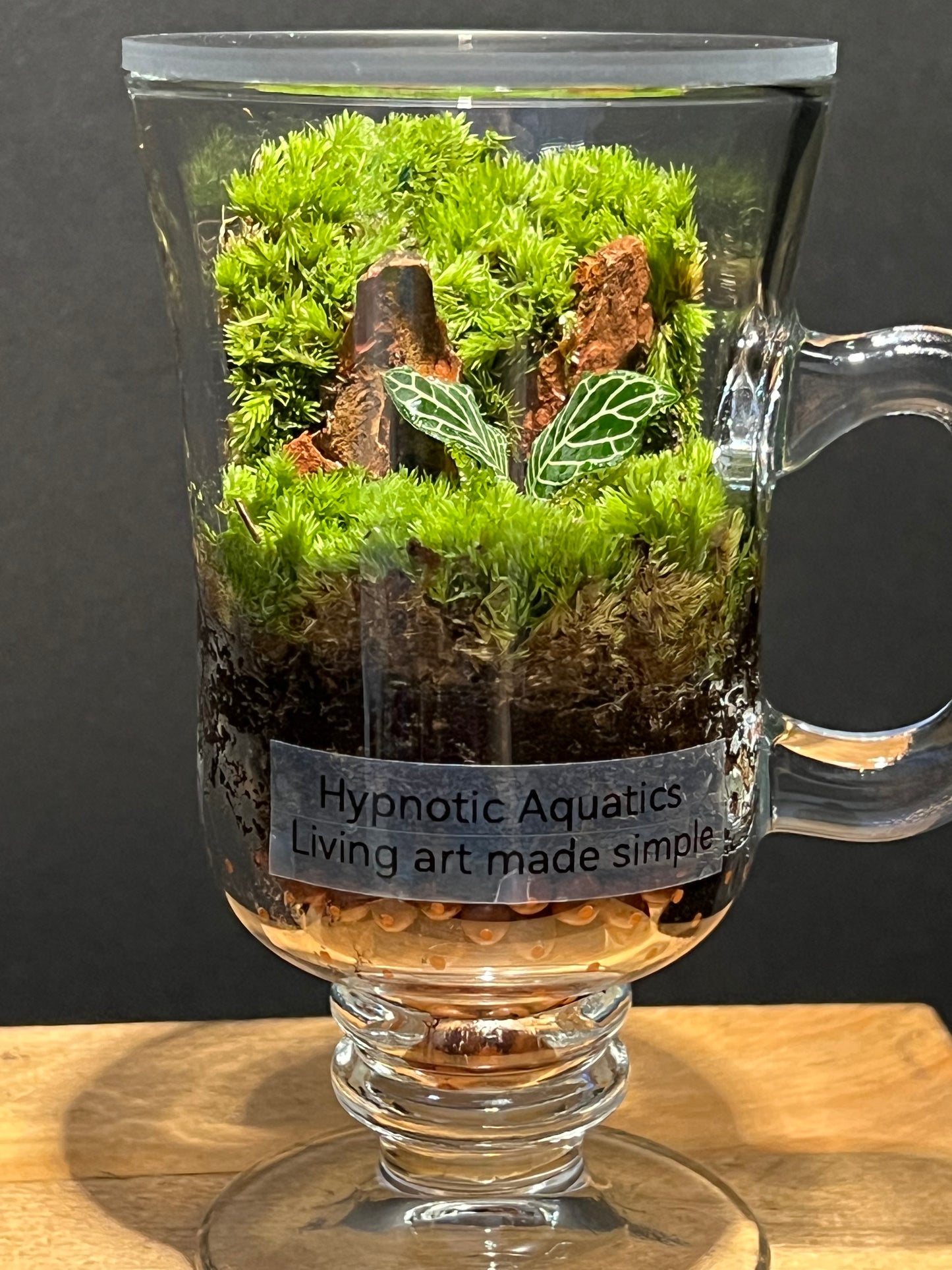 Terrarium 226