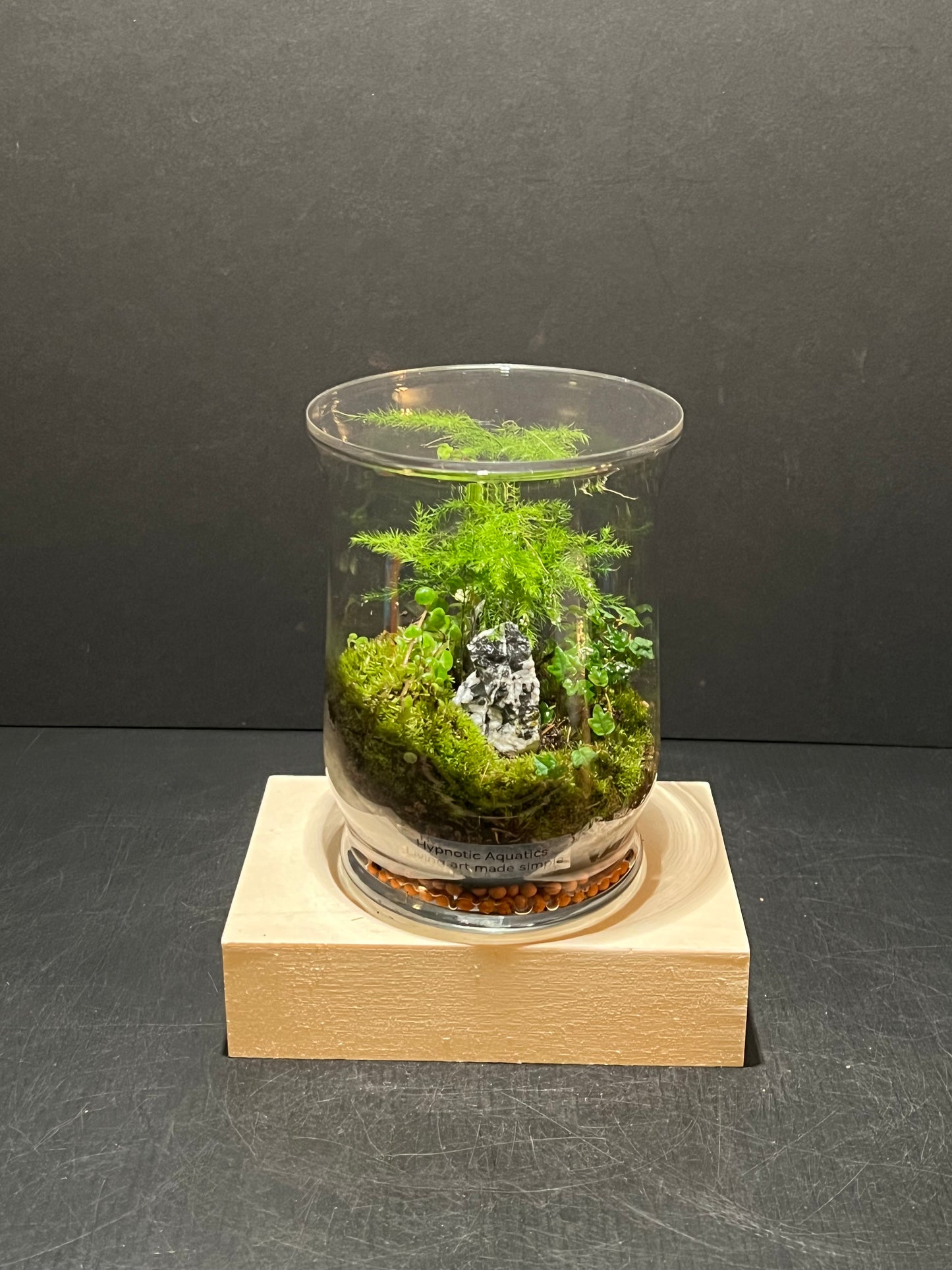 Terrarium 245