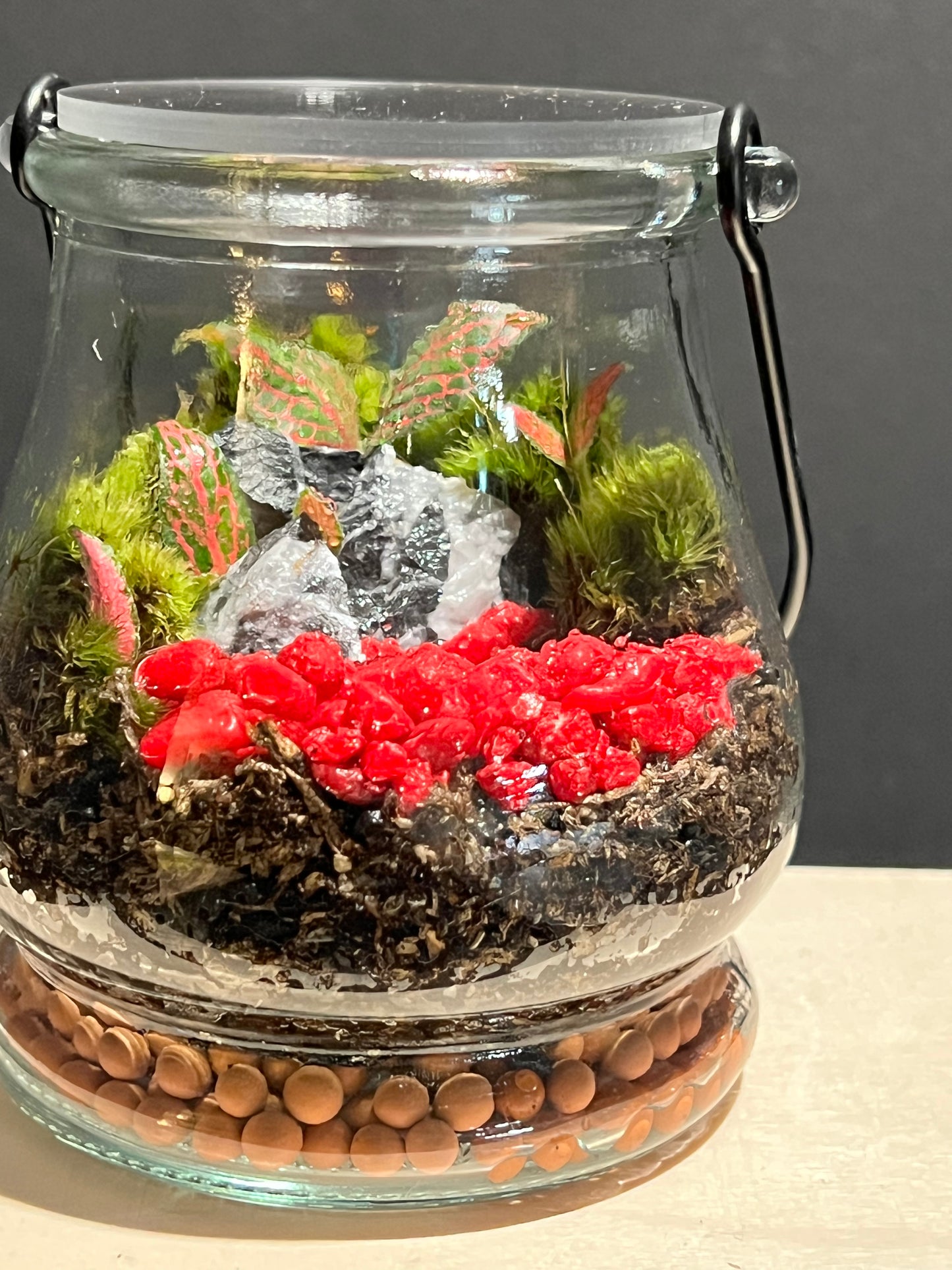 Terrarium 251
