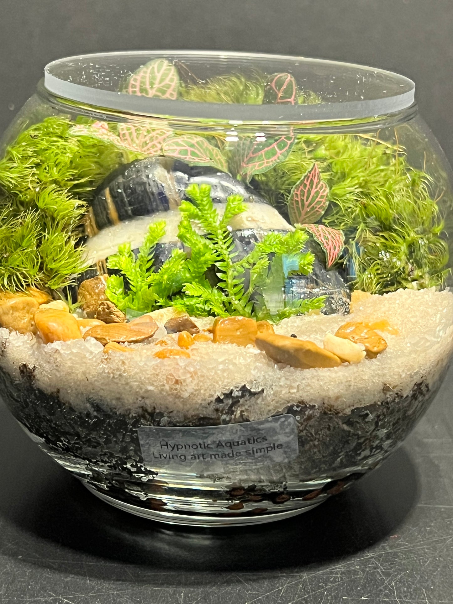 Terrarium 260