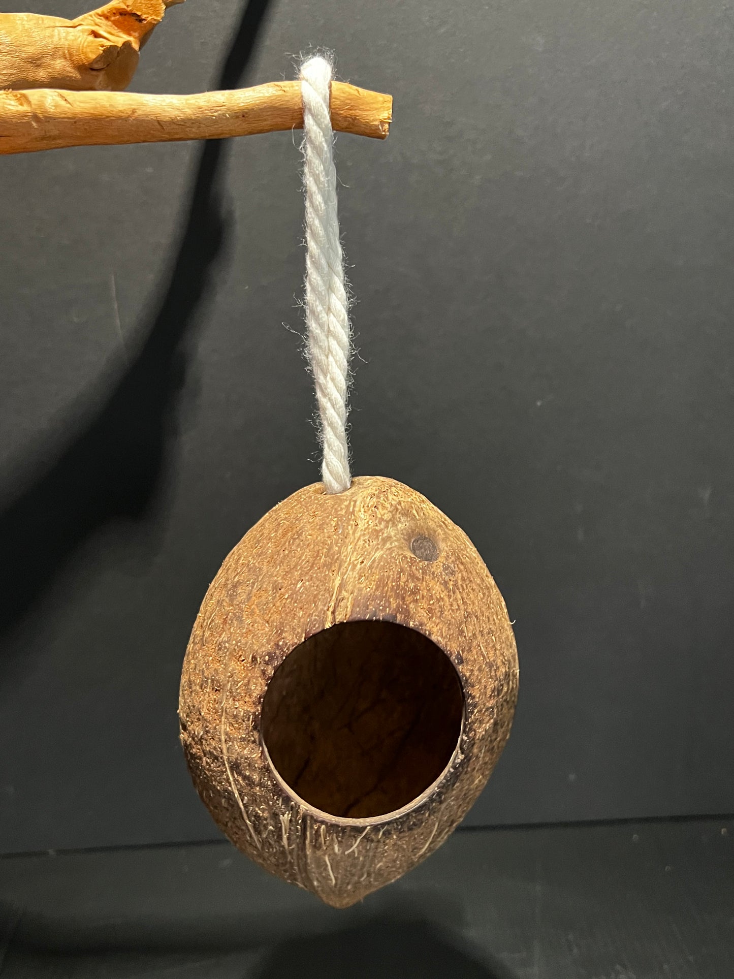 Coconut Hide