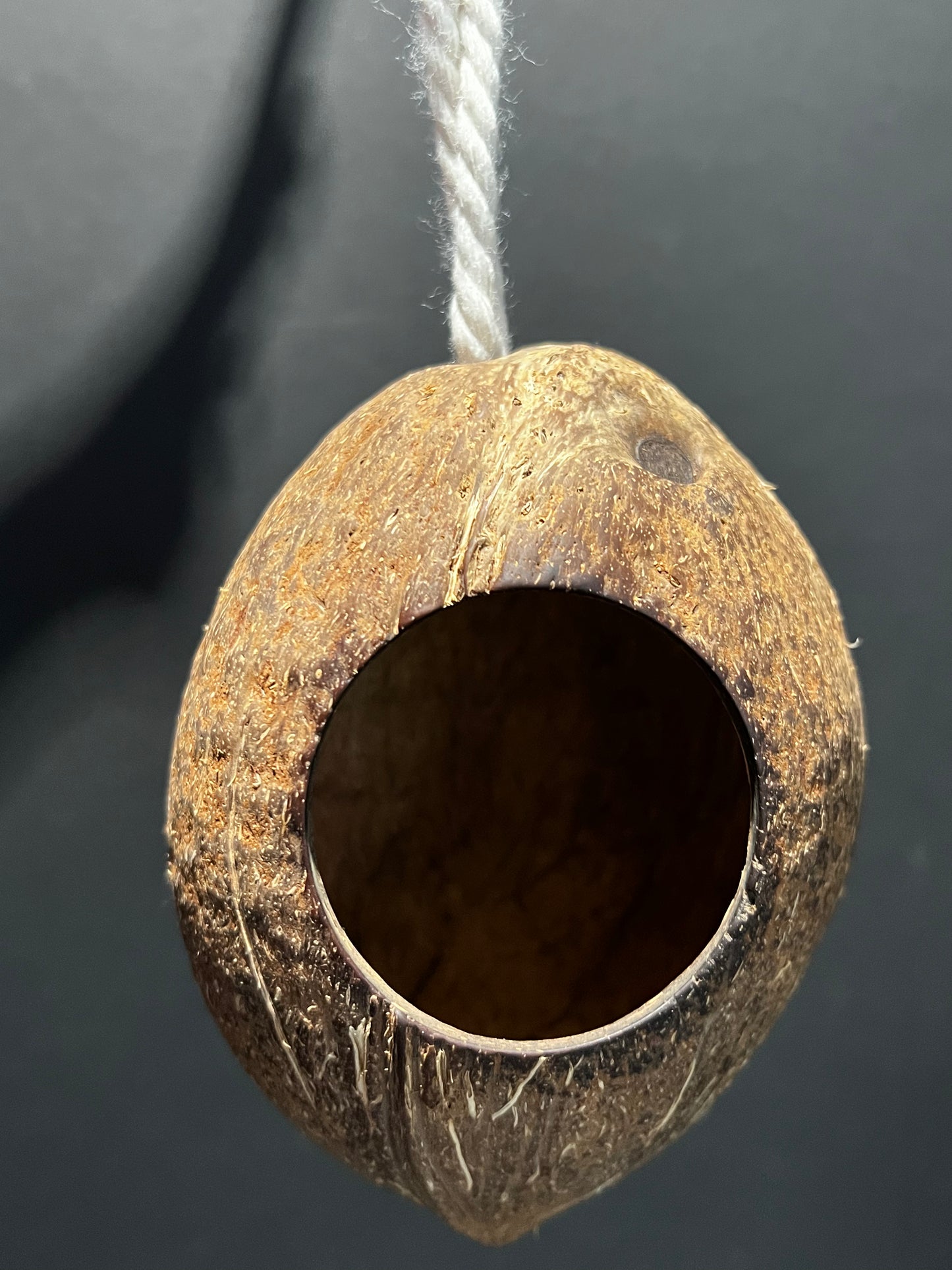 Coconut Hide