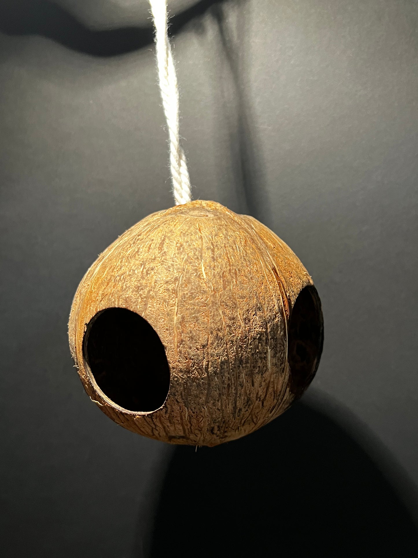 Coconut Hide