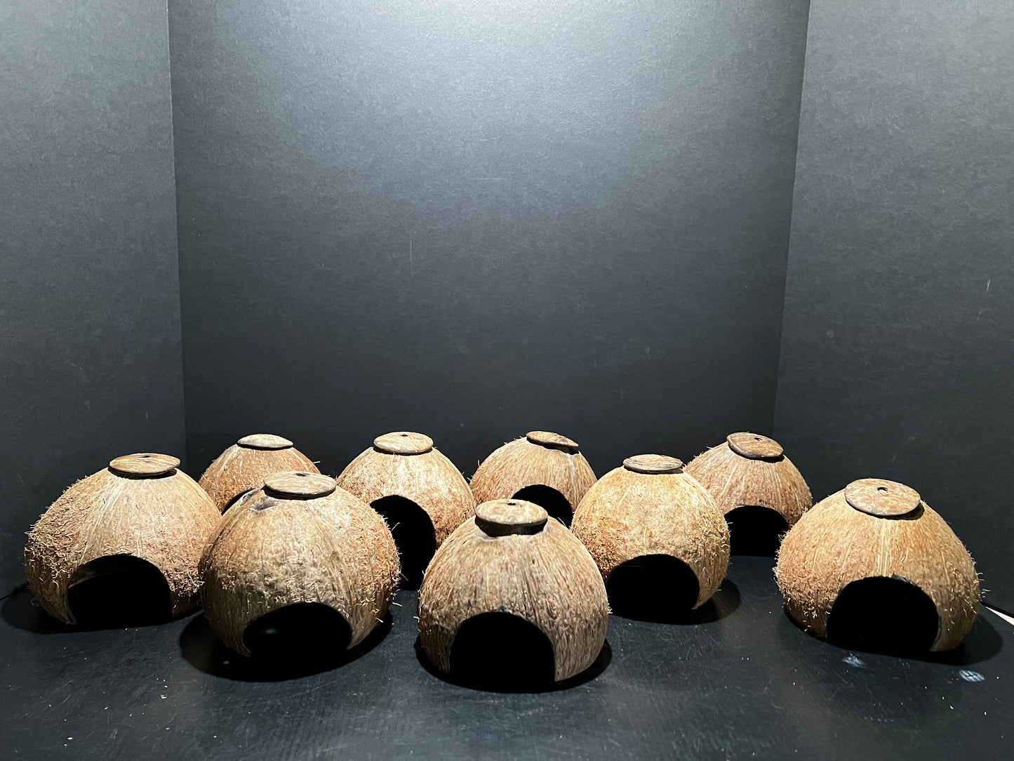 Coconut Hide