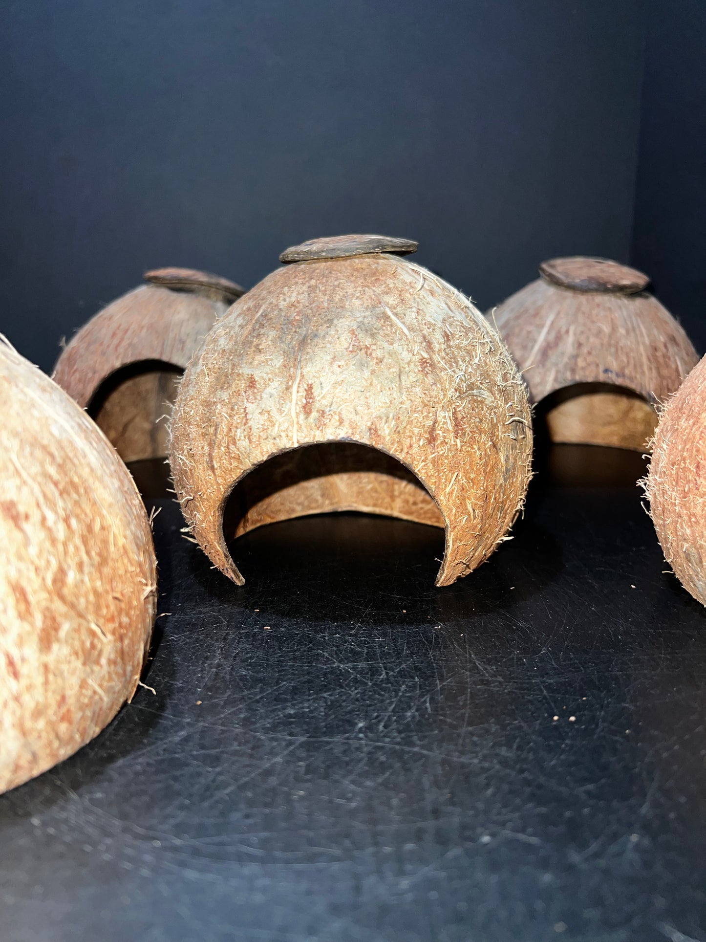 Coconut Hide