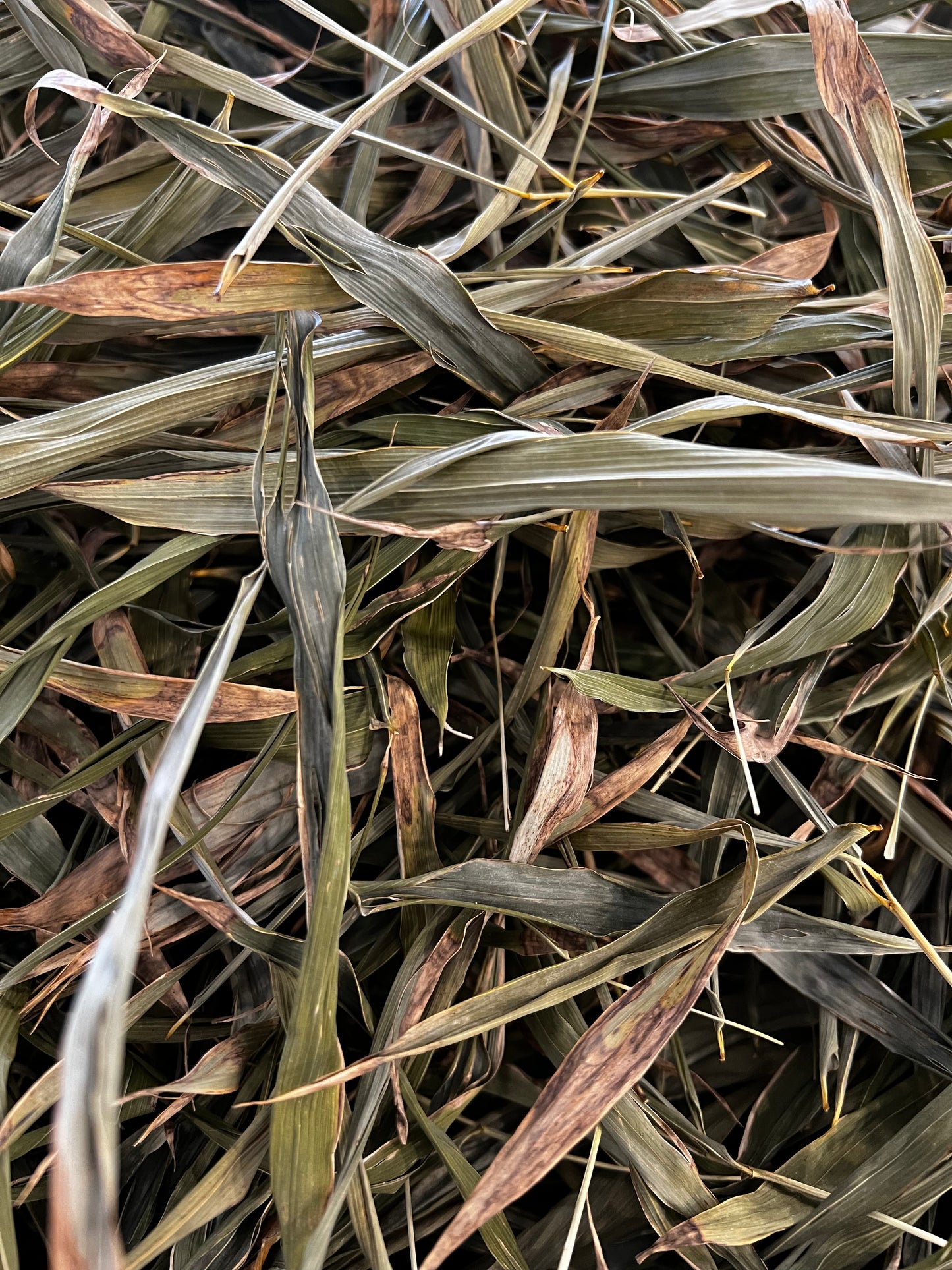 Critter Litter- Bamboo Leaf Litter 1 oz