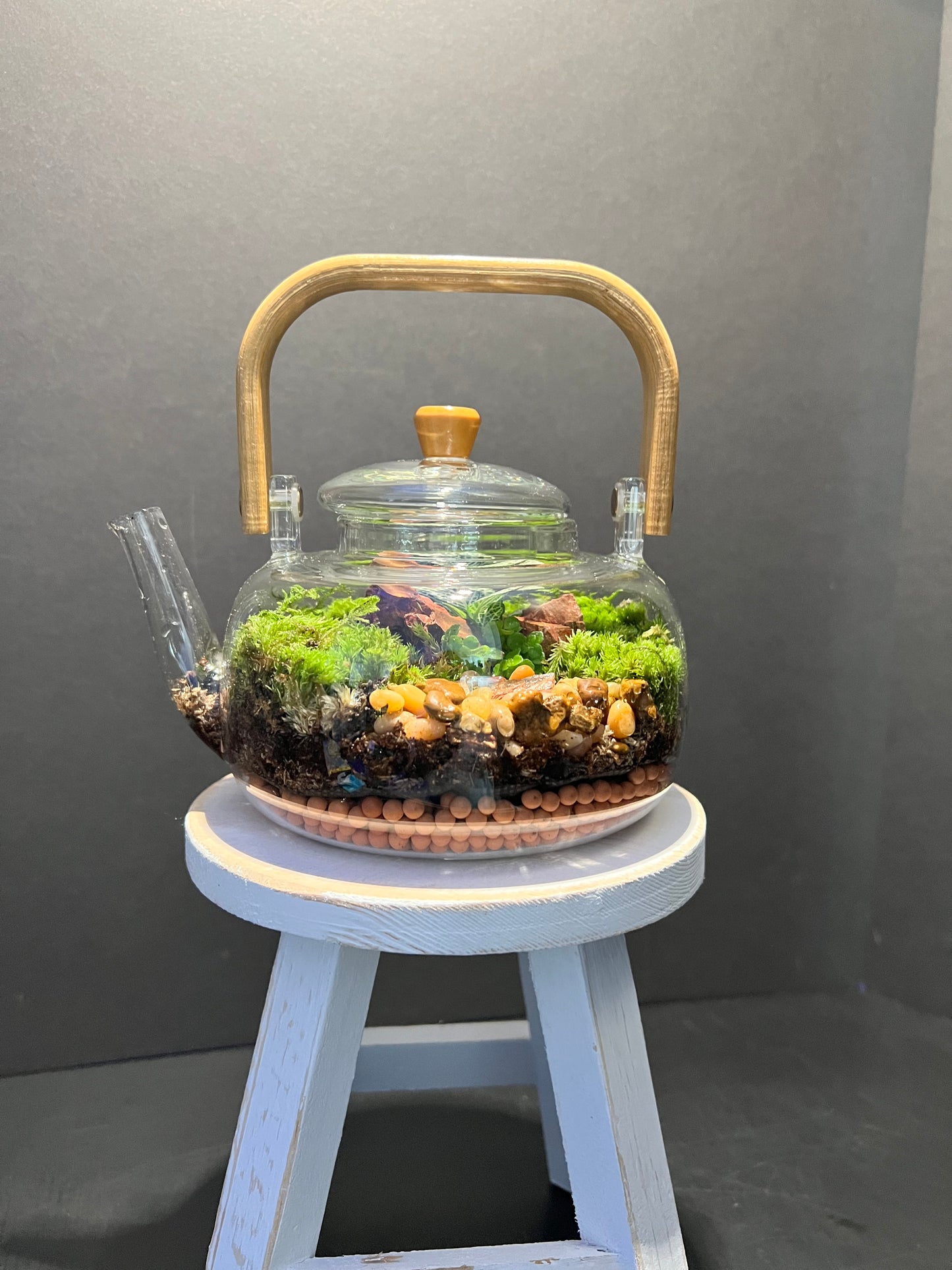 Terrarium 268