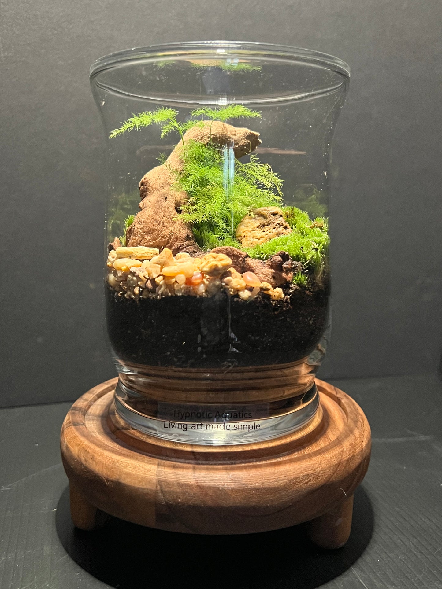 Terrarium 285
