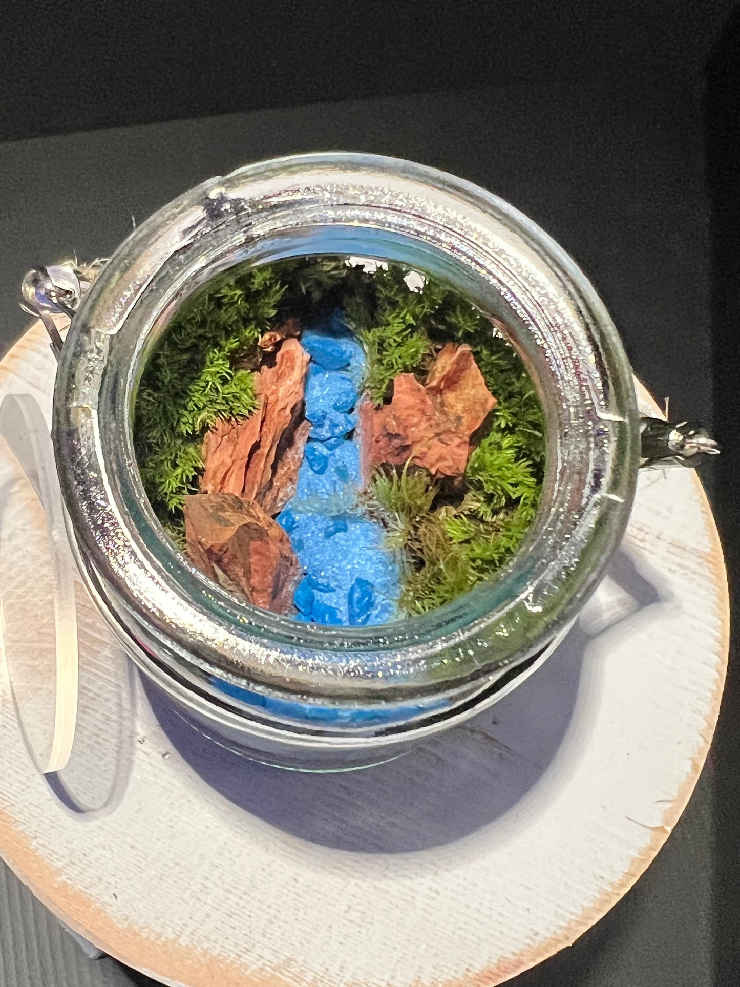 Terrarium 290