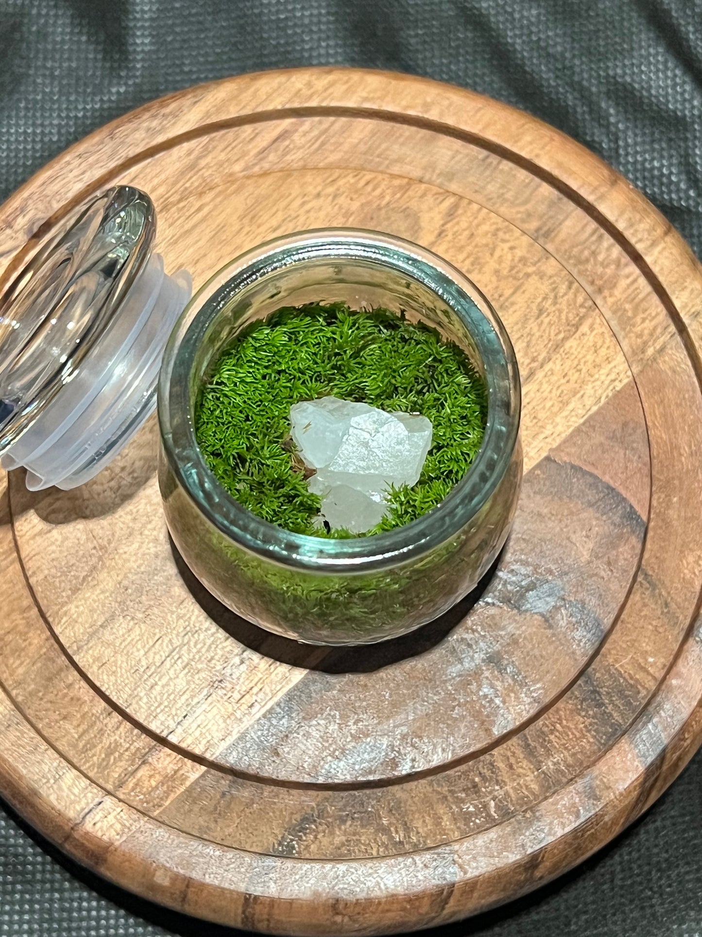 Terrarium 298