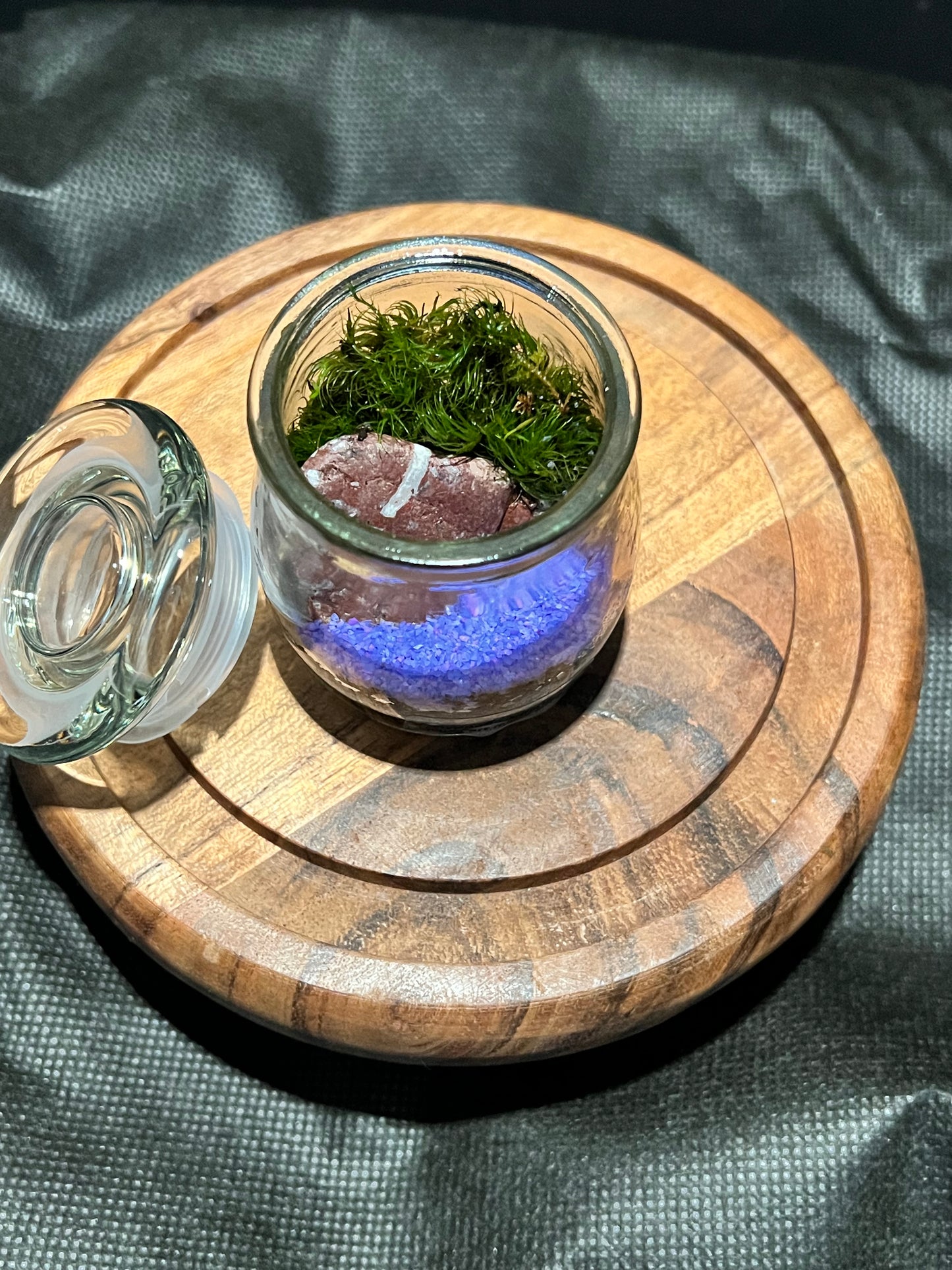 Terrarium 299