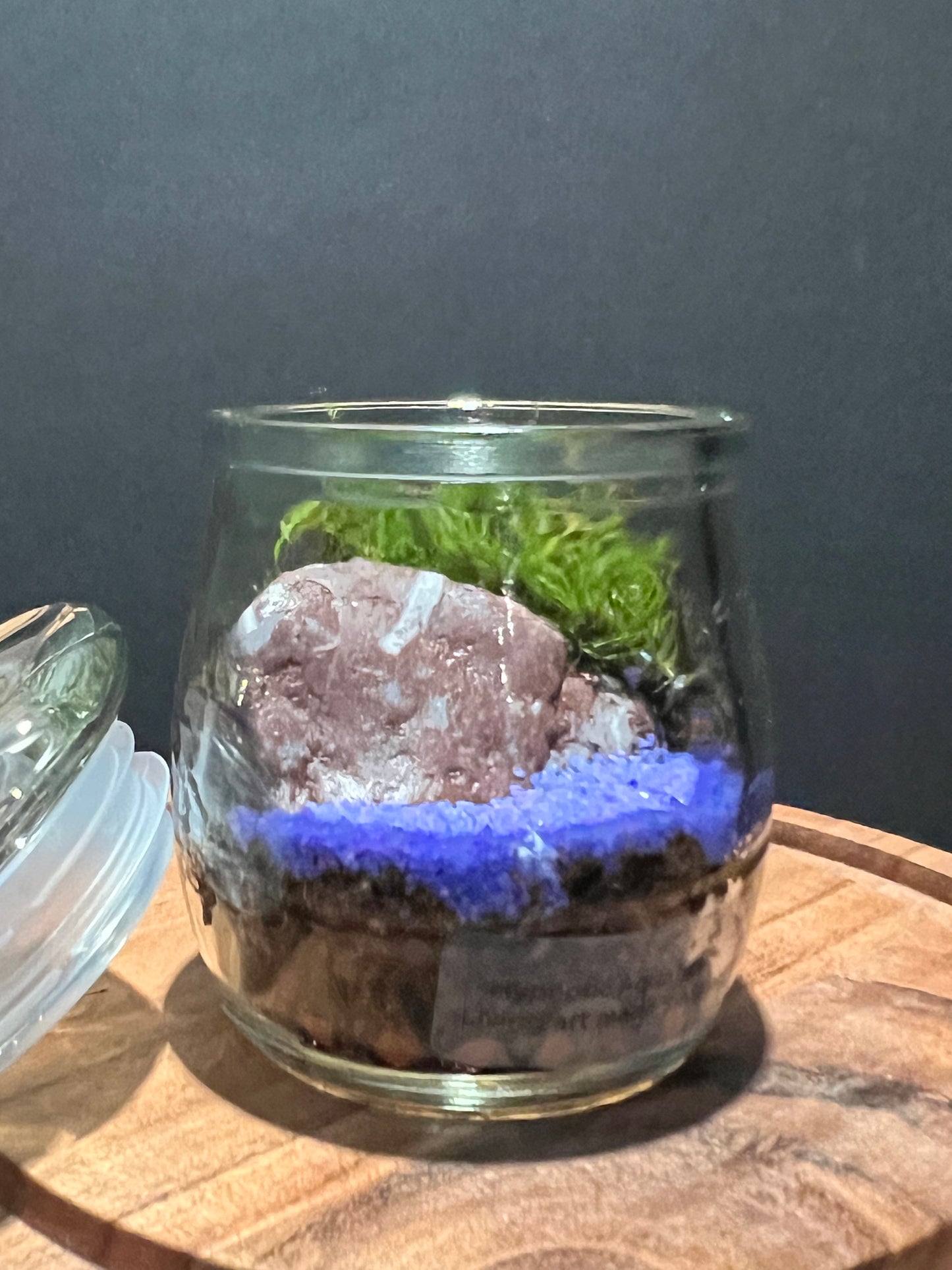 Terrarium 299
