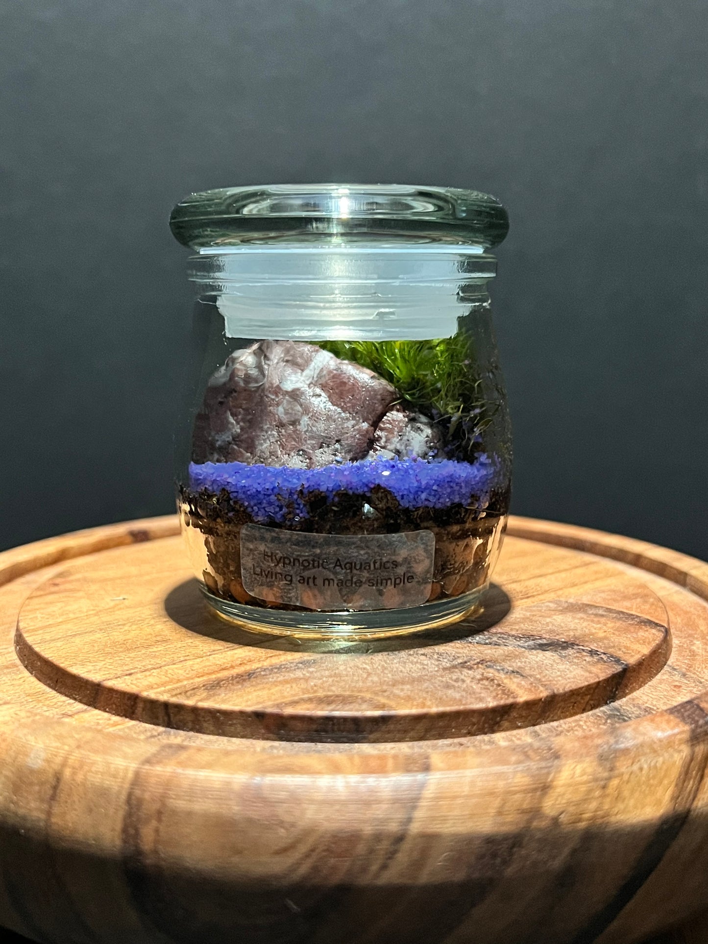 Terrarium 299